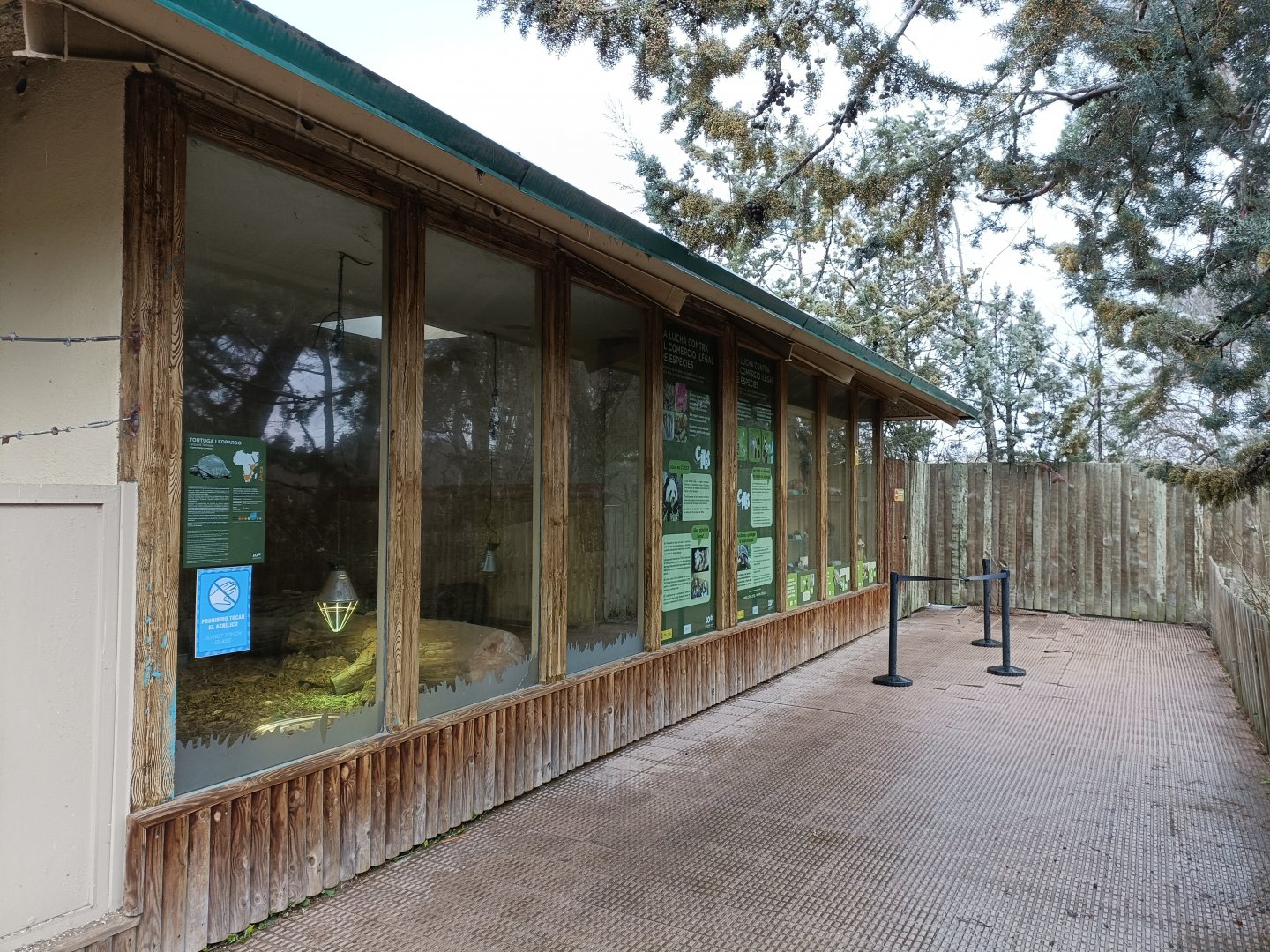 Tortoise indoor exhibit