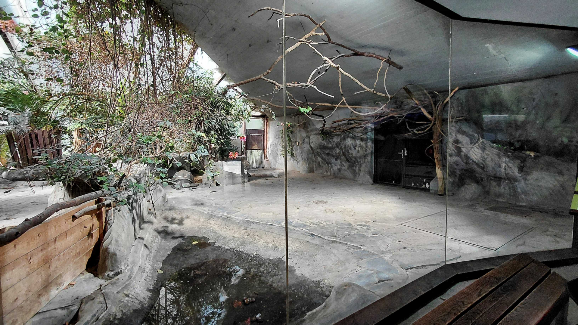 Tortoise indoor exhibit