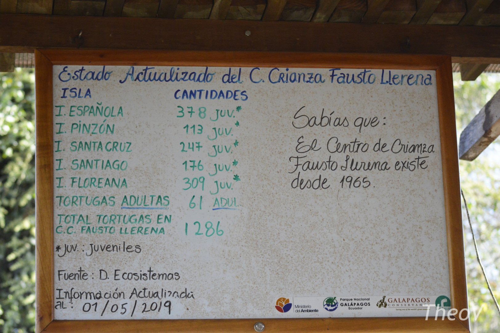 Tortoise inventory at Fausto Llerena Breeding Center [2019]