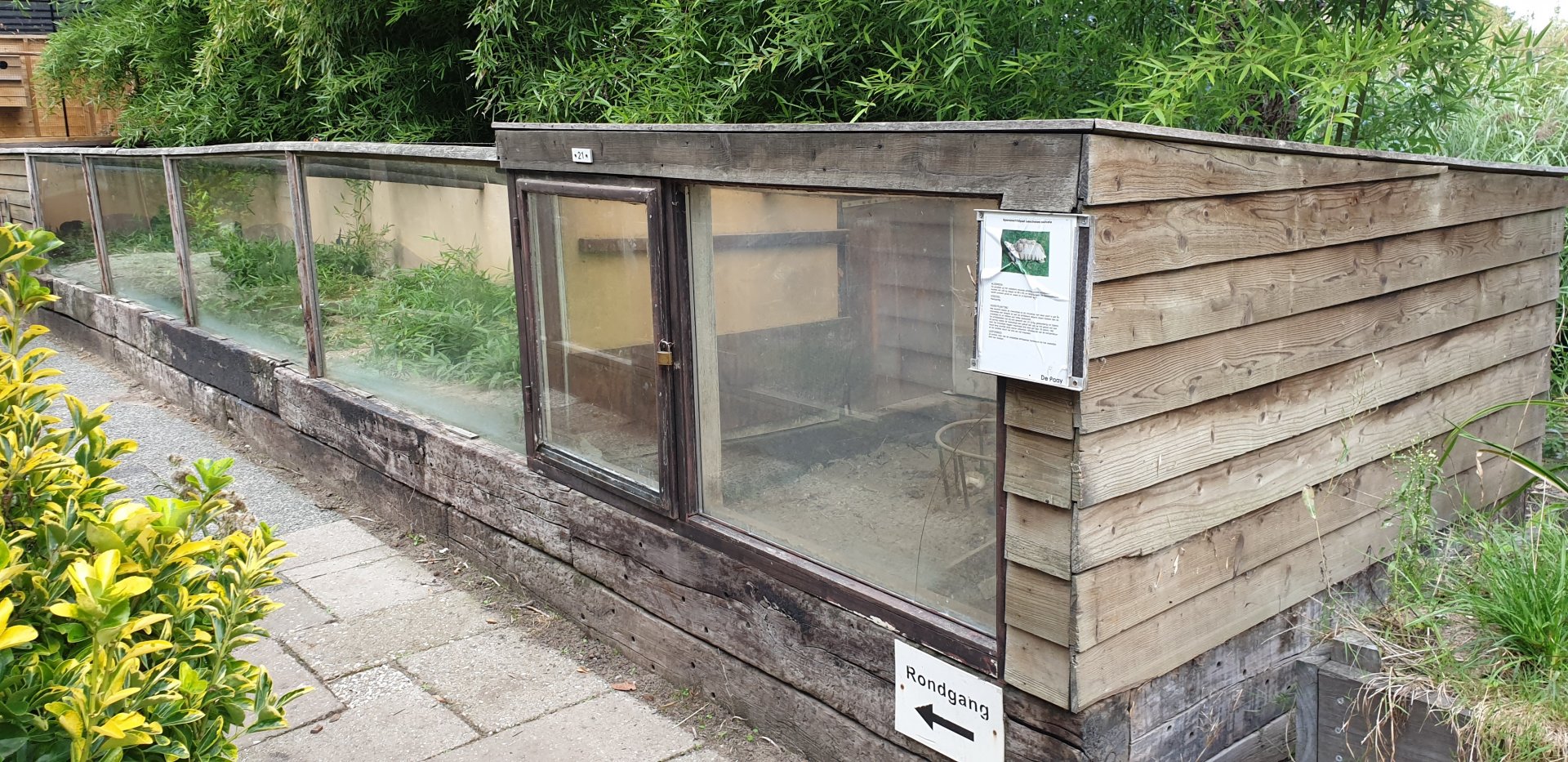 Tortoise - Mongoose enclosure