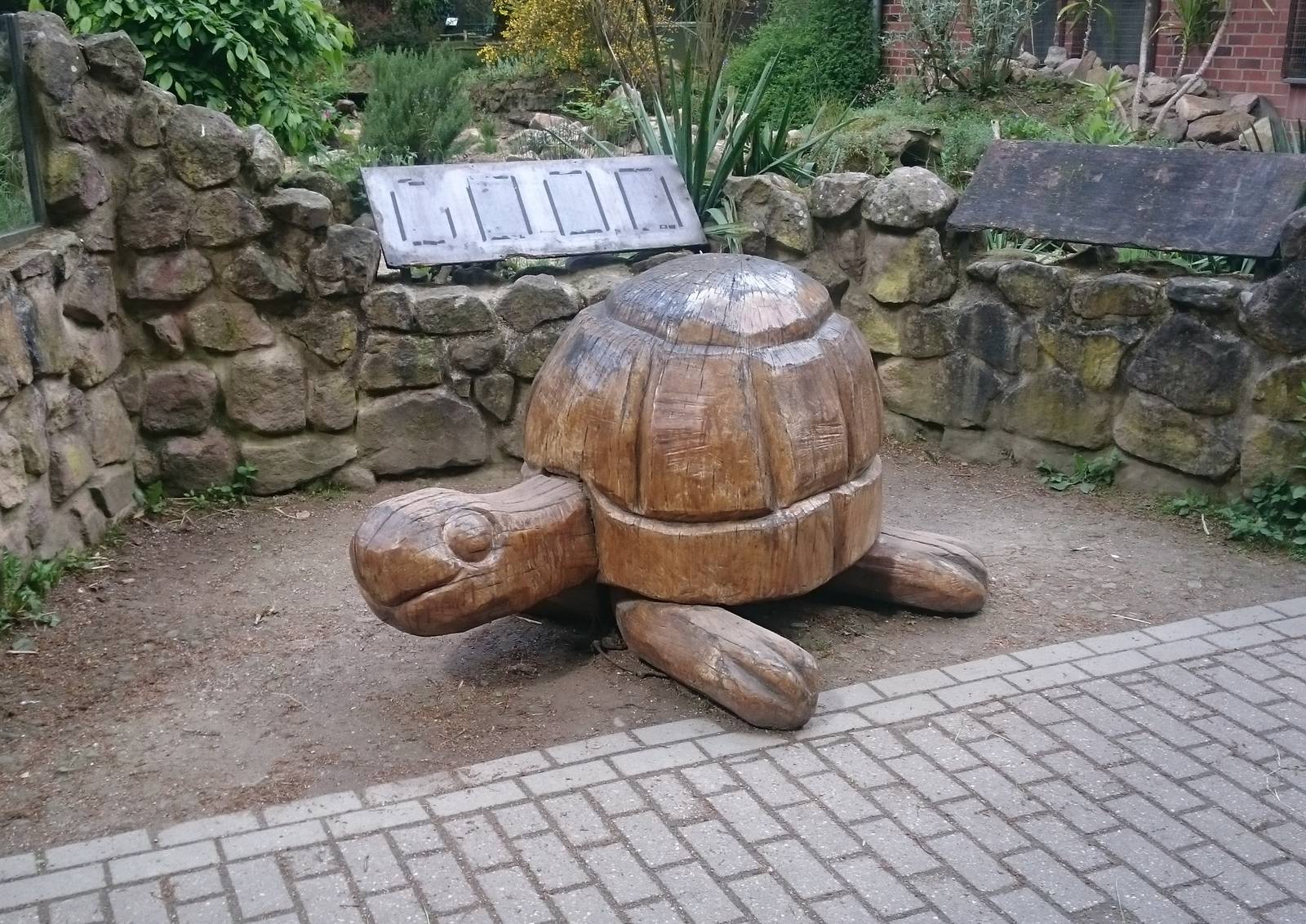 Tortoise - not a real one