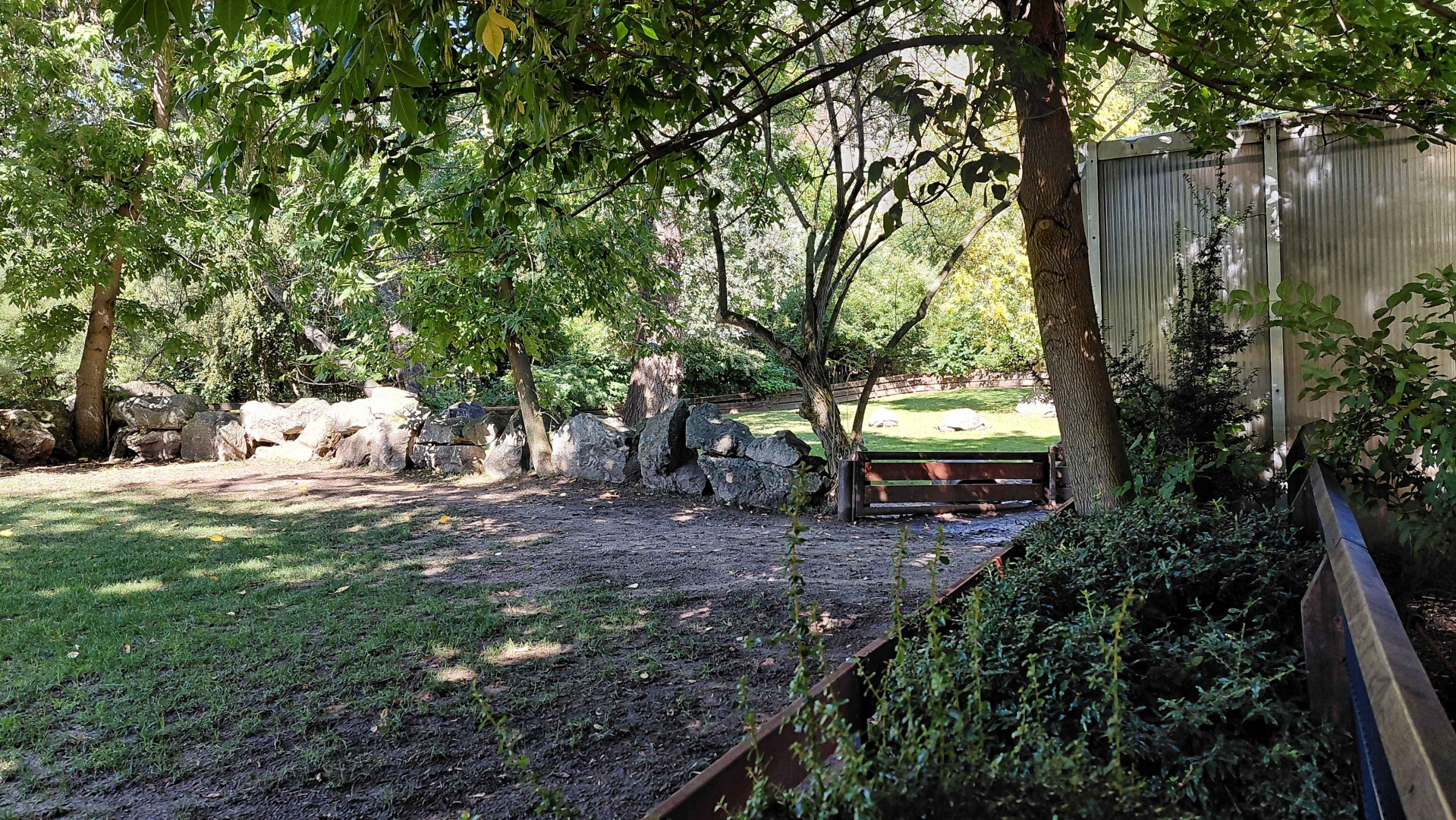 Tortoise outdoor exhibit