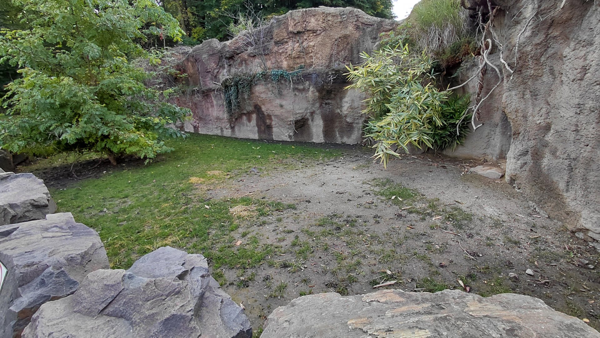 Tortoise outdoor exhibit