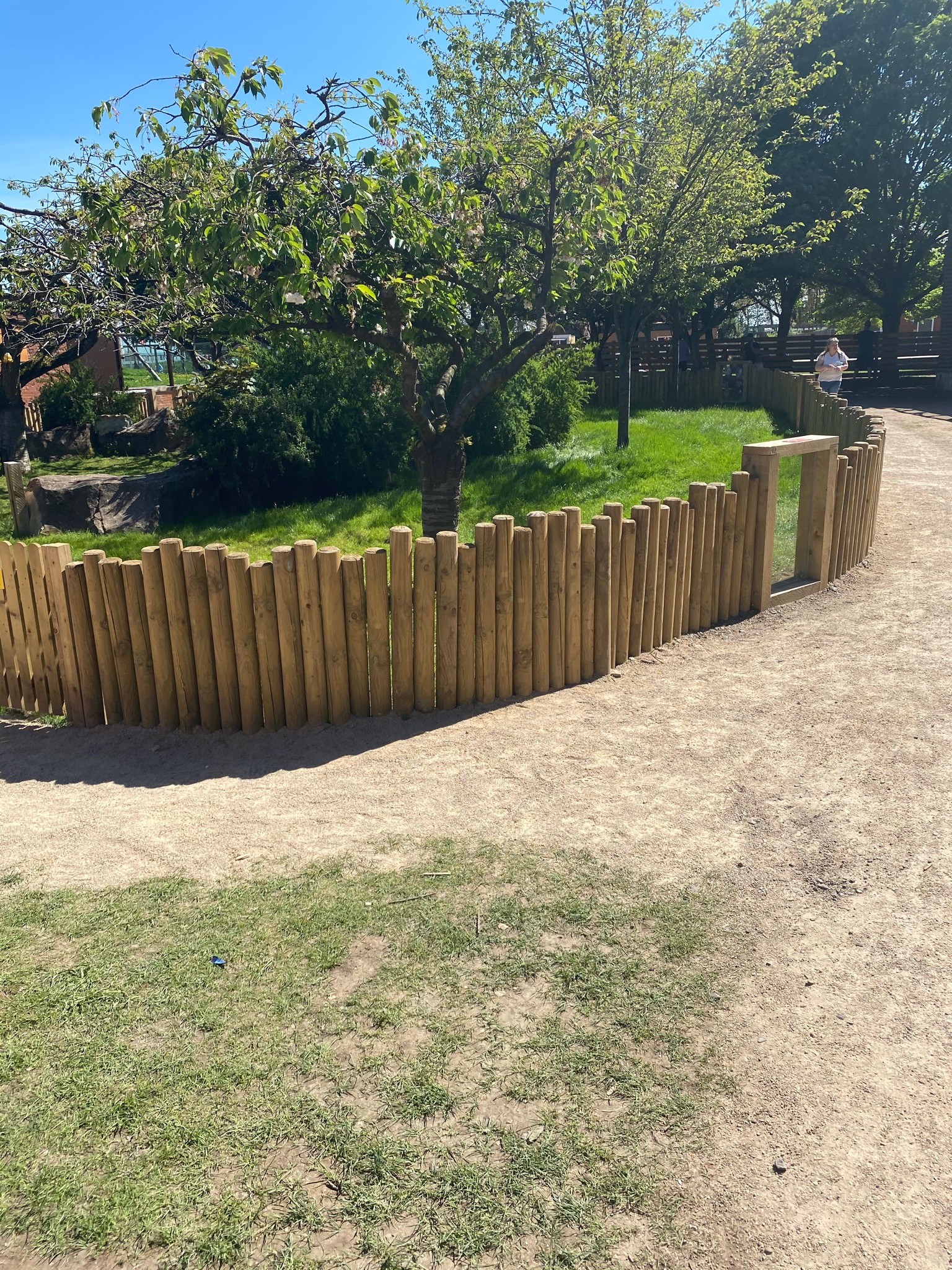 Tortoise outdoor extension