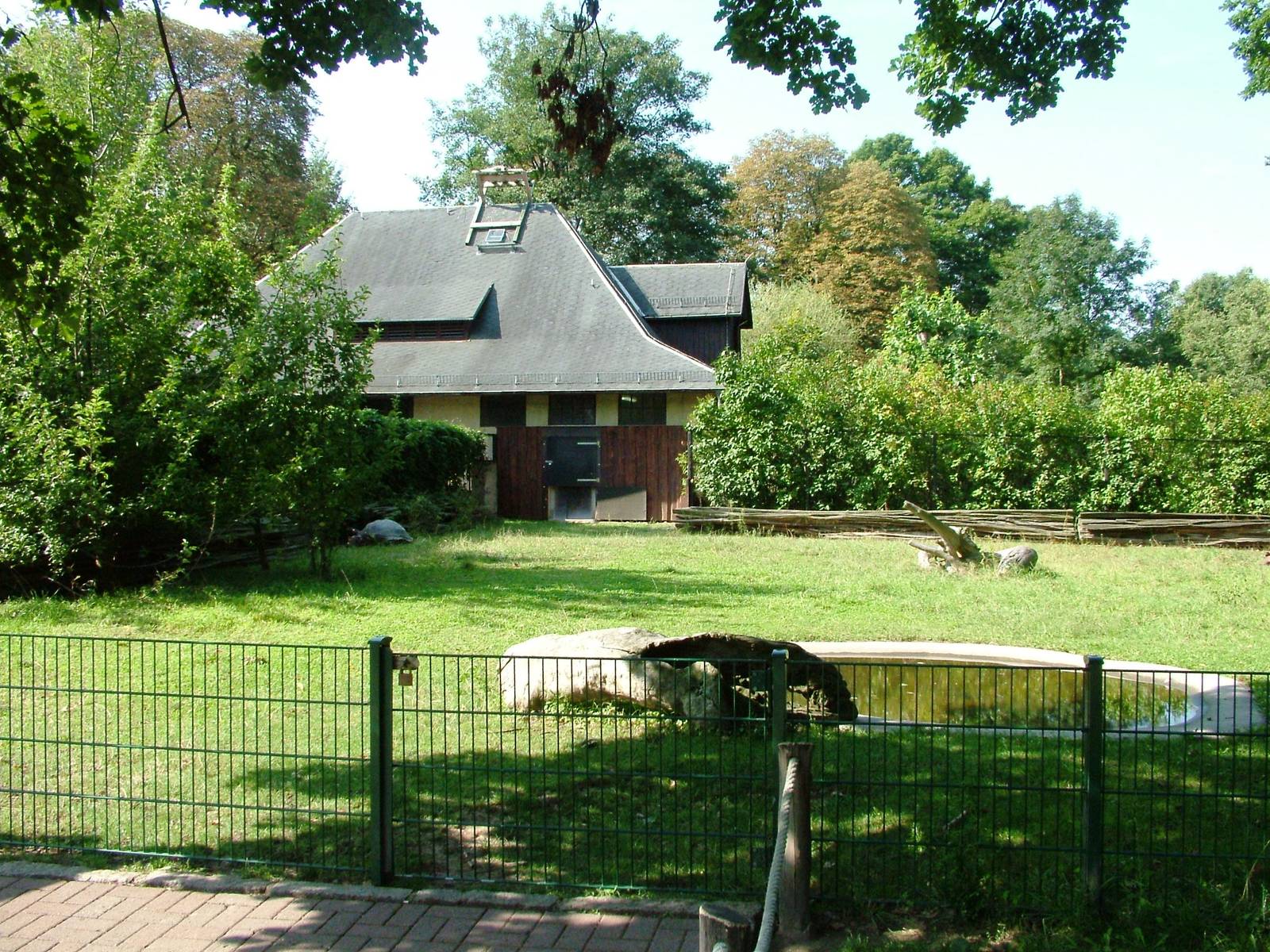 Tortoise Paddock at Dresden, 29/08/12