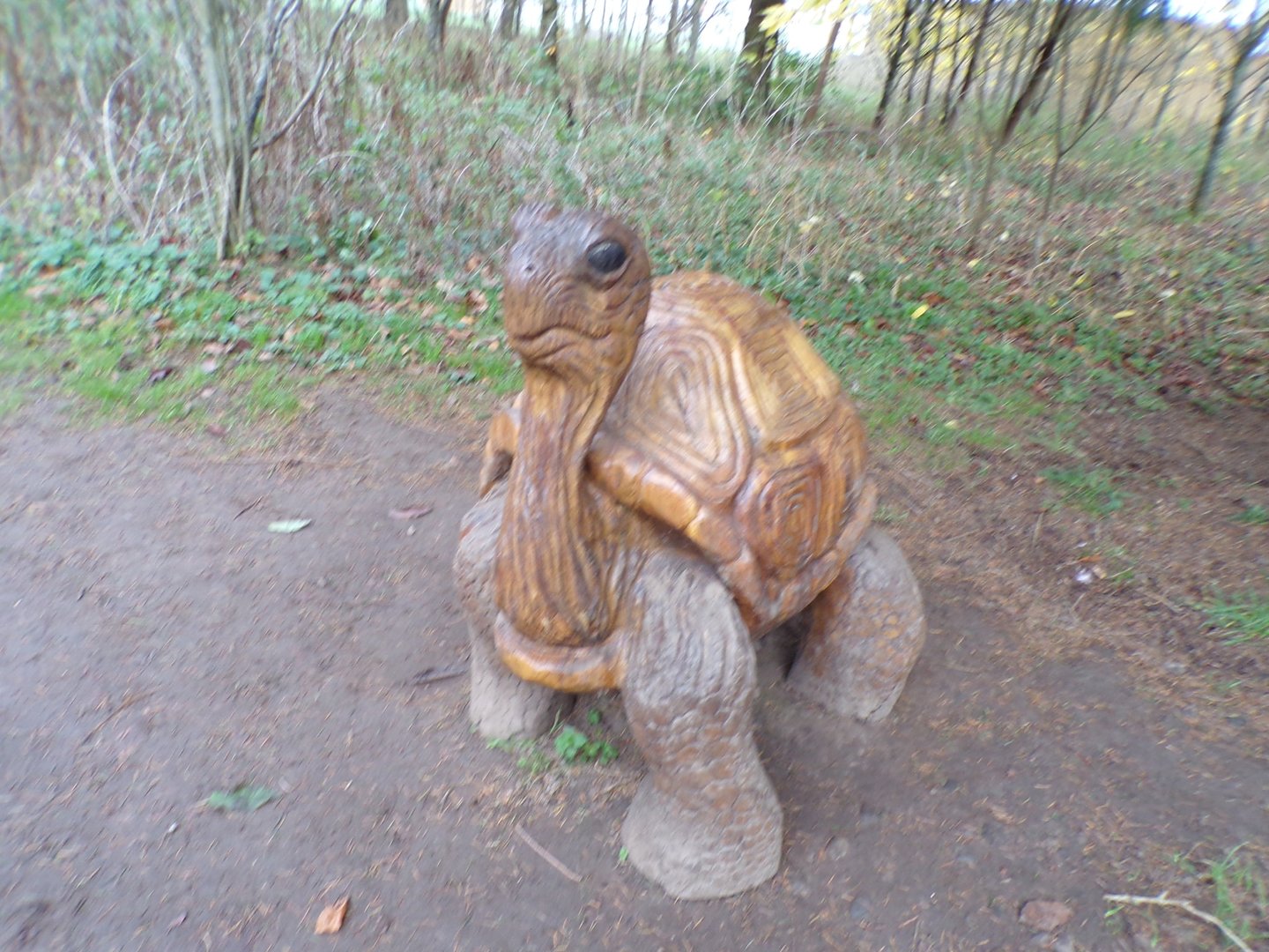Tortoise sculpture