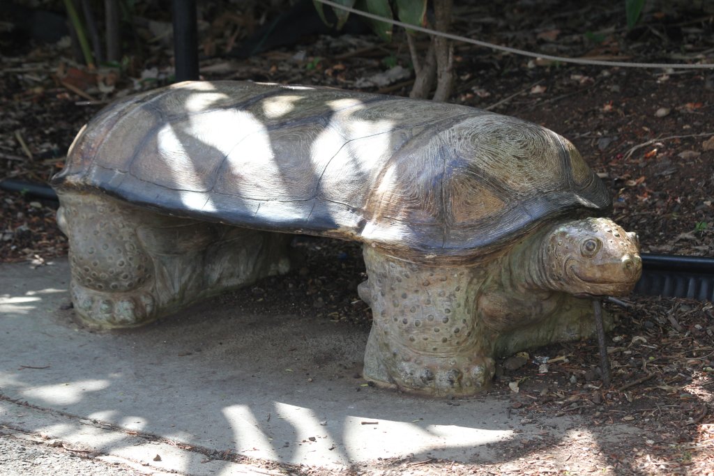 Tortoise Seat