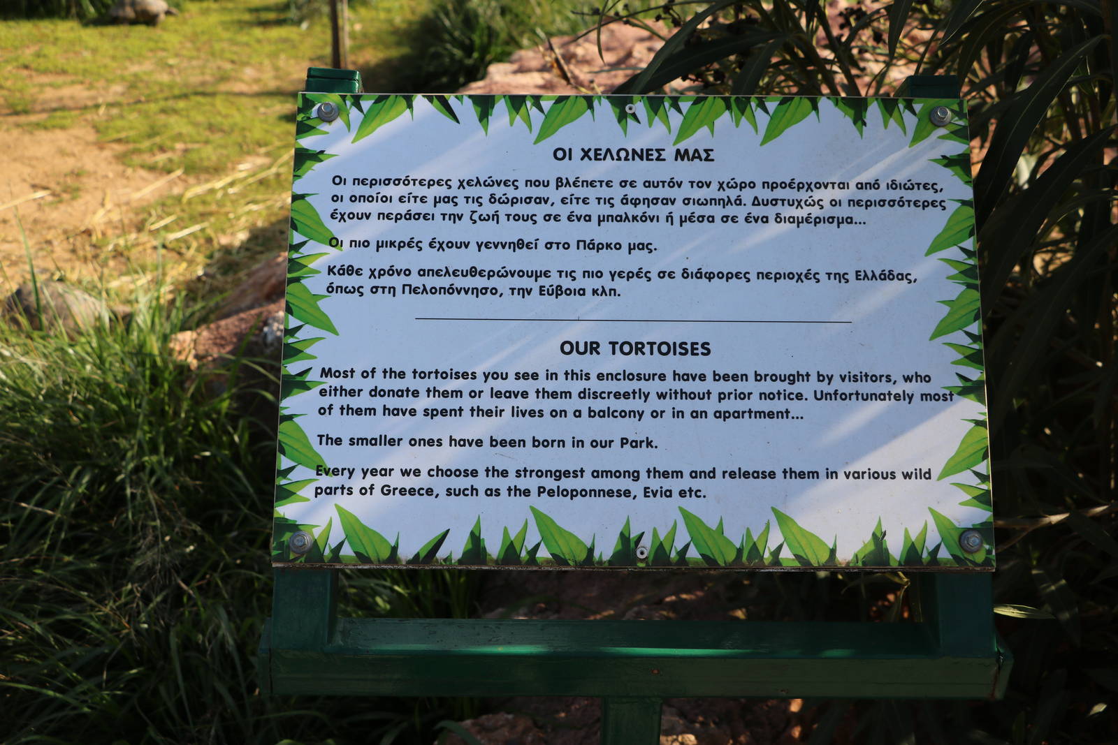 Tortoise sign, February 2016