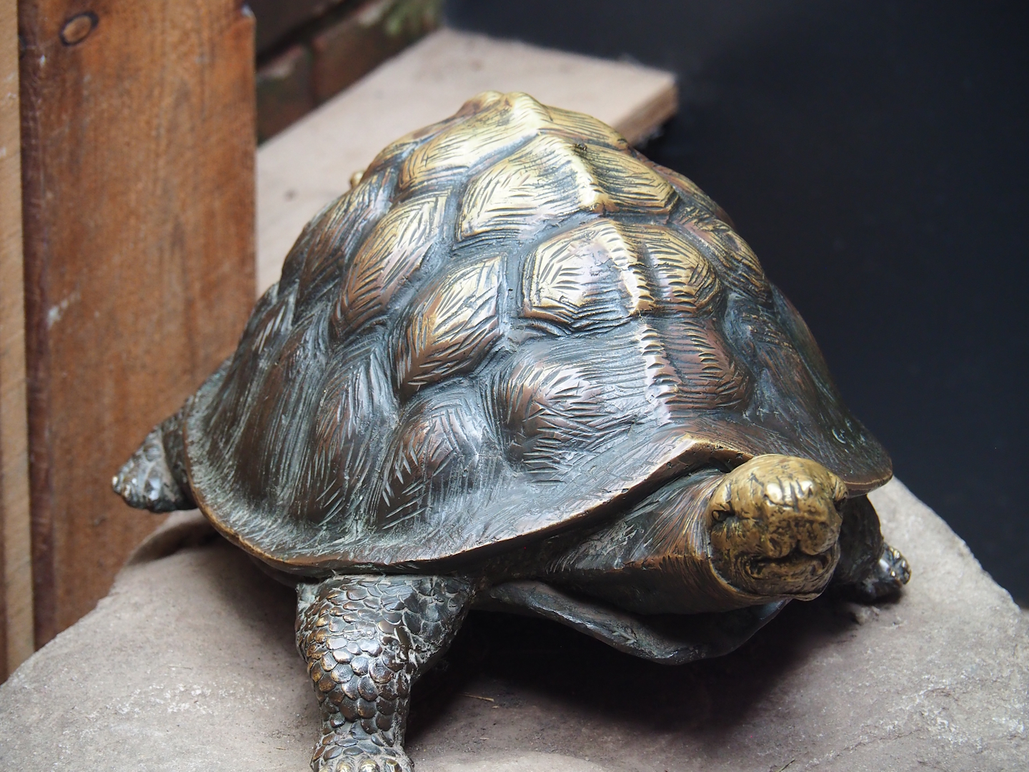 Tortoise statue, 2023-09-24