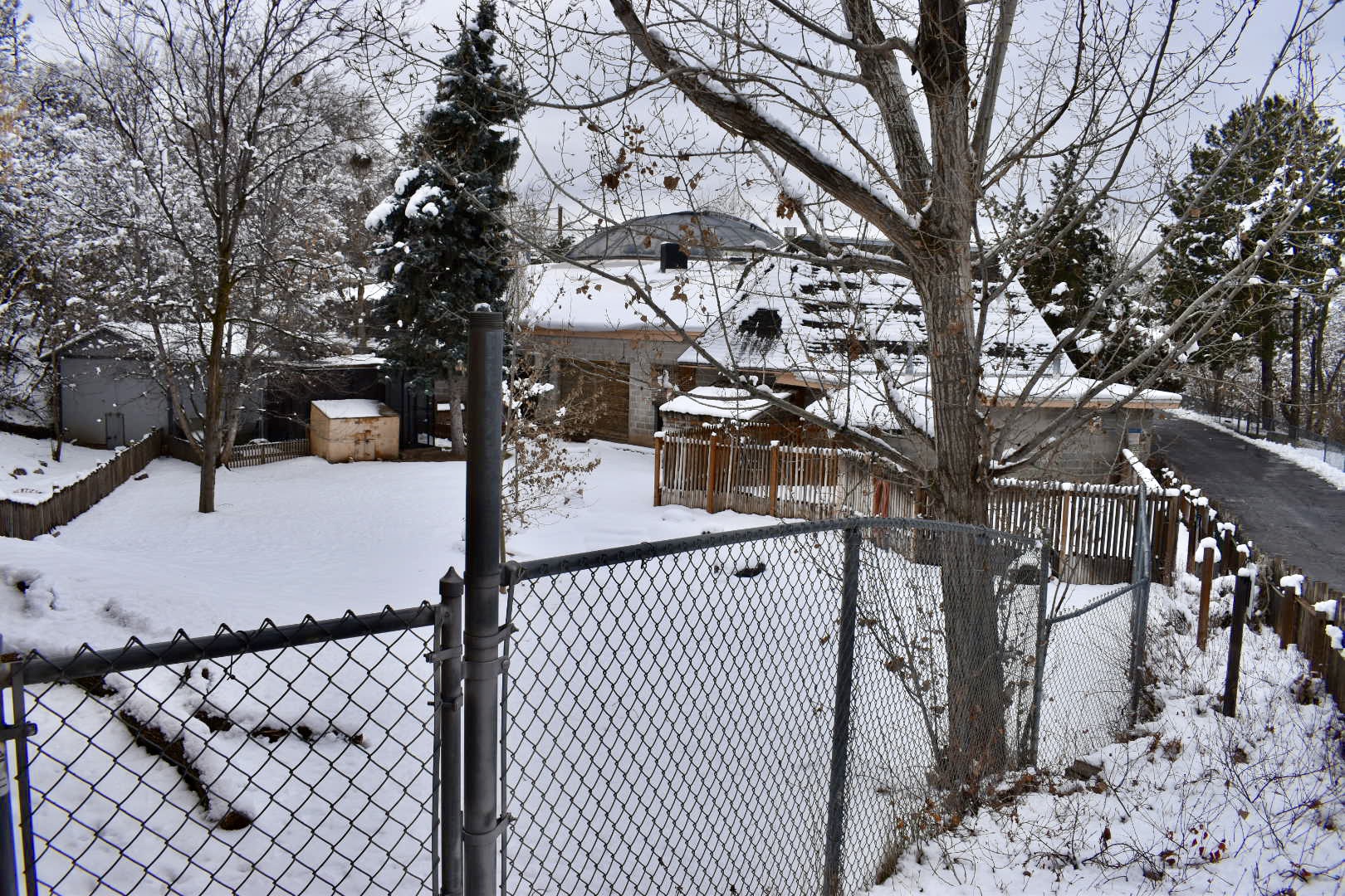 Tortoise Summer Yard - Small Animal Building