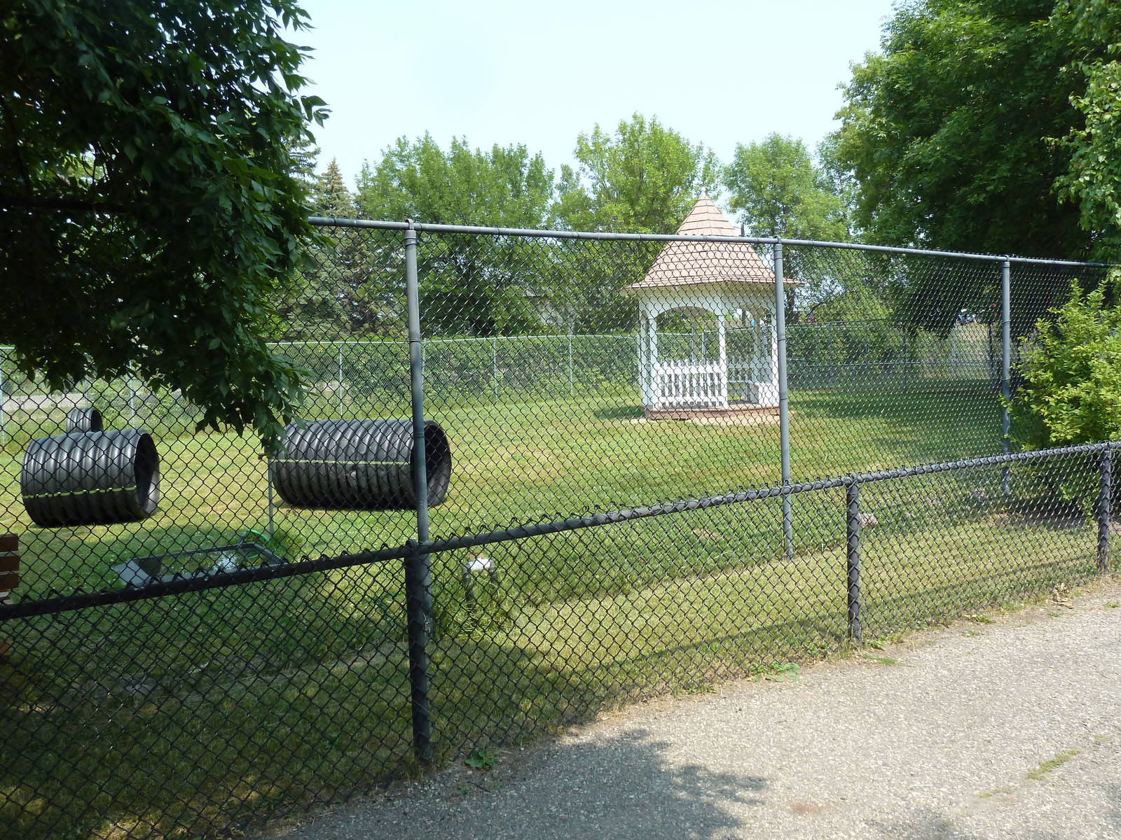 Tortoise Town Walk-Through Exhibit