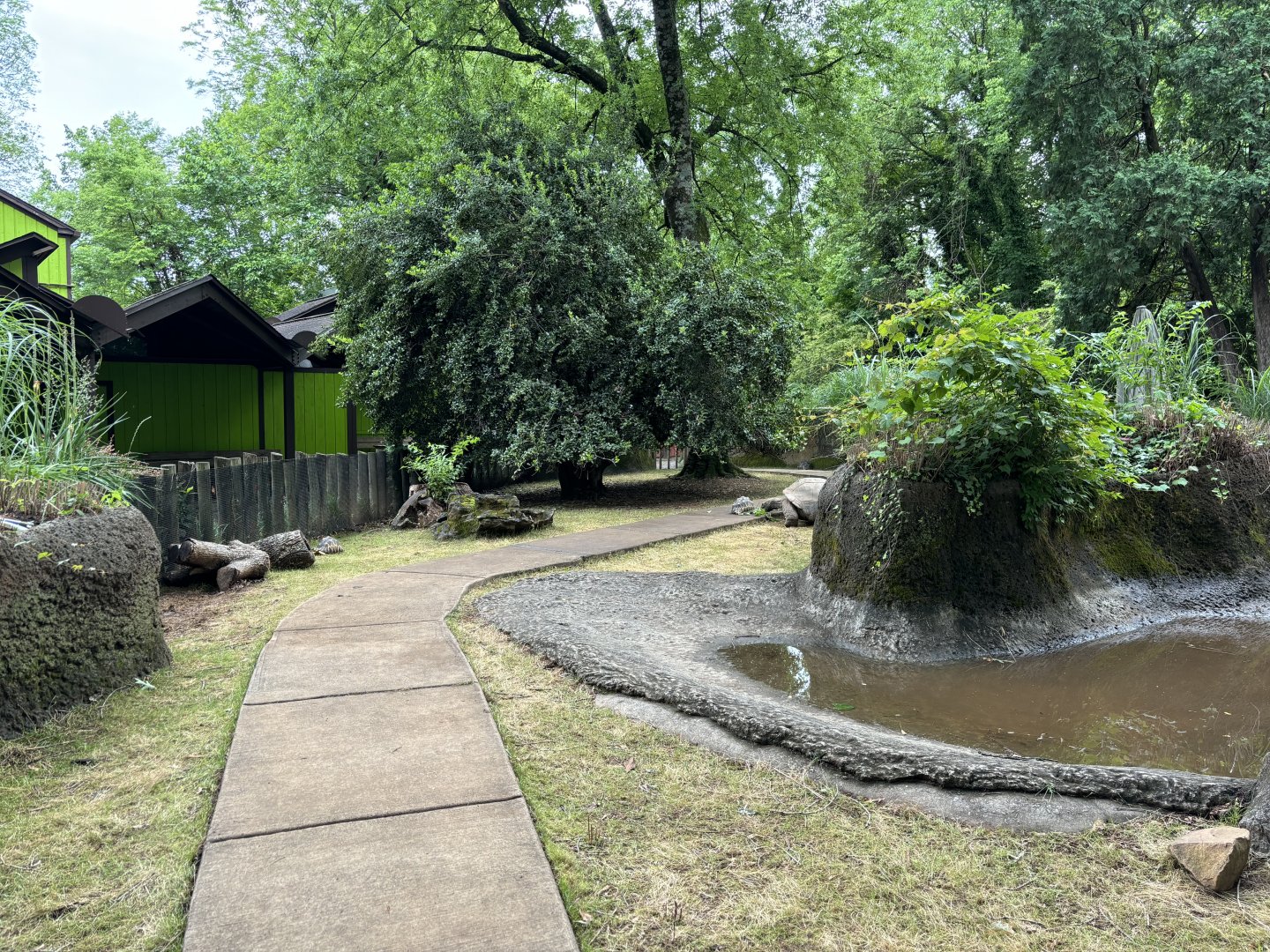 Tortoise Trail Feeding Experience