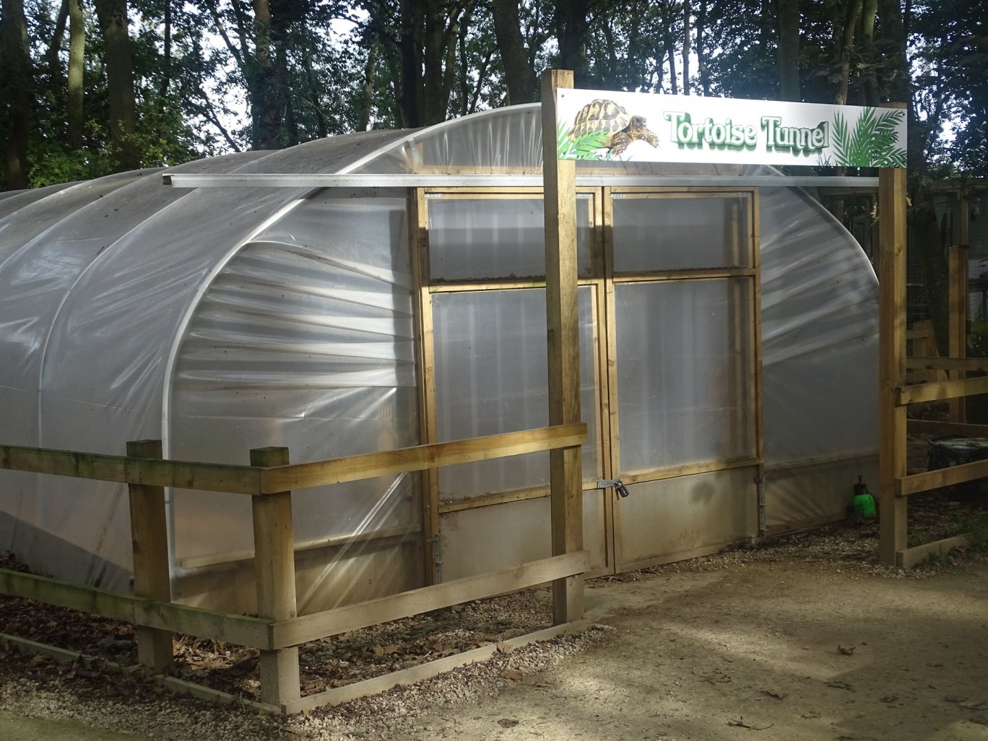 Tortoise Tunnel, 16th October 2023