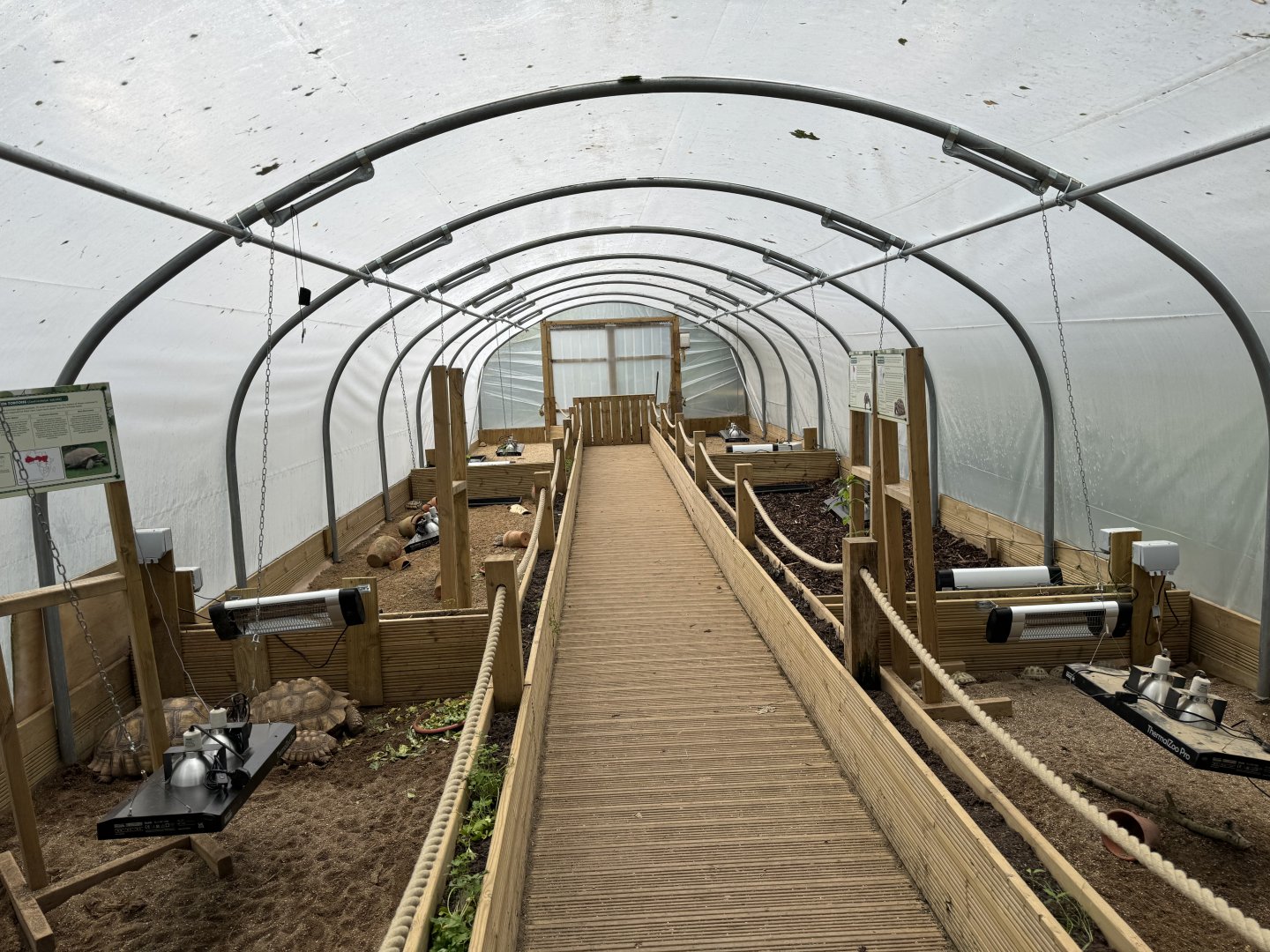 Tortoise Tunnel at Bridlington Animal Park (July 2024)