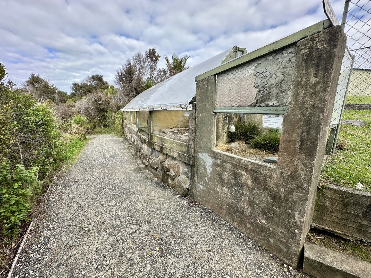 Tortoise/Turtle/Lizard Exhibits