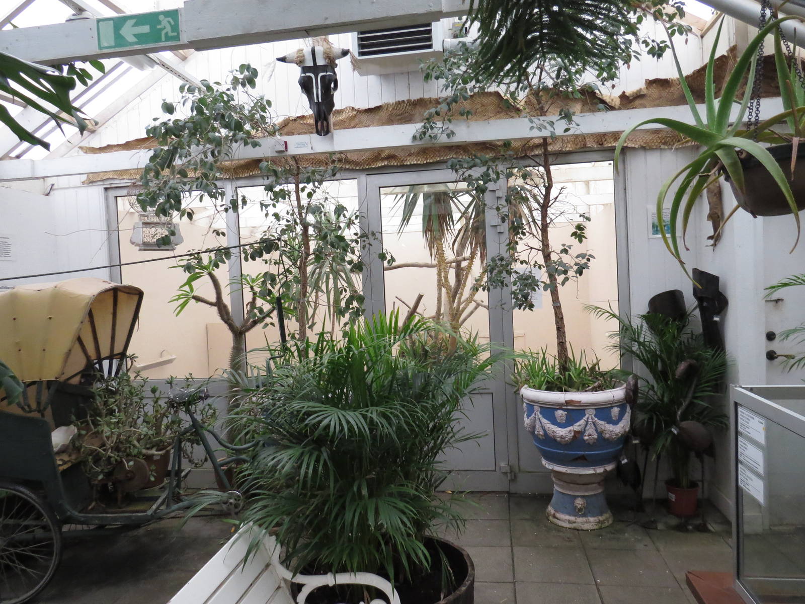 Tortoise viewing area with rickshaw, June 2015