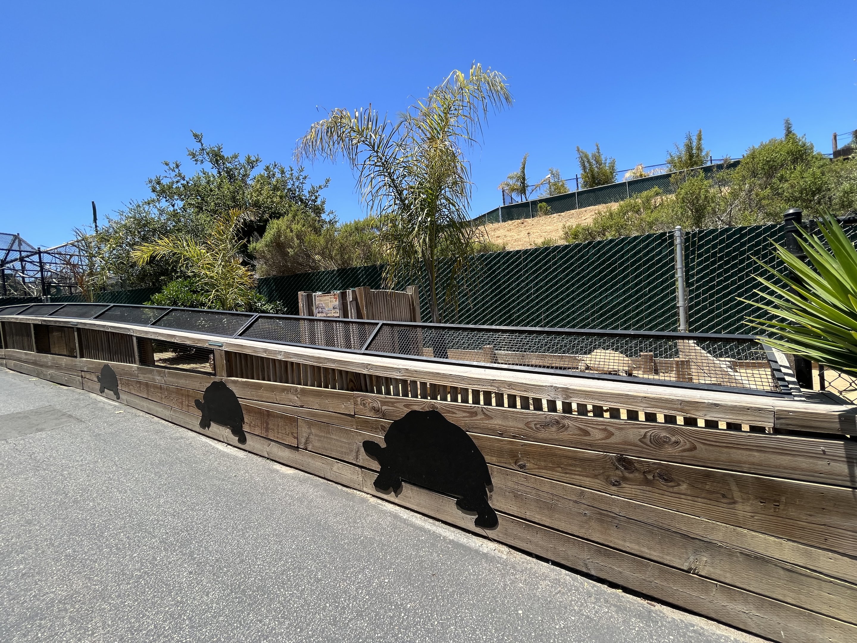 Tortoise Yards - New