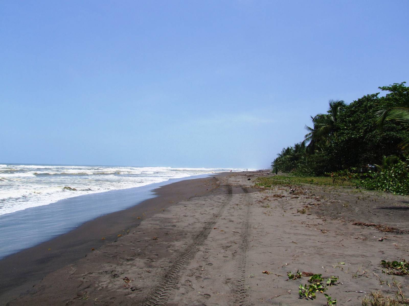 Tortuguero Beach, 13/04/14