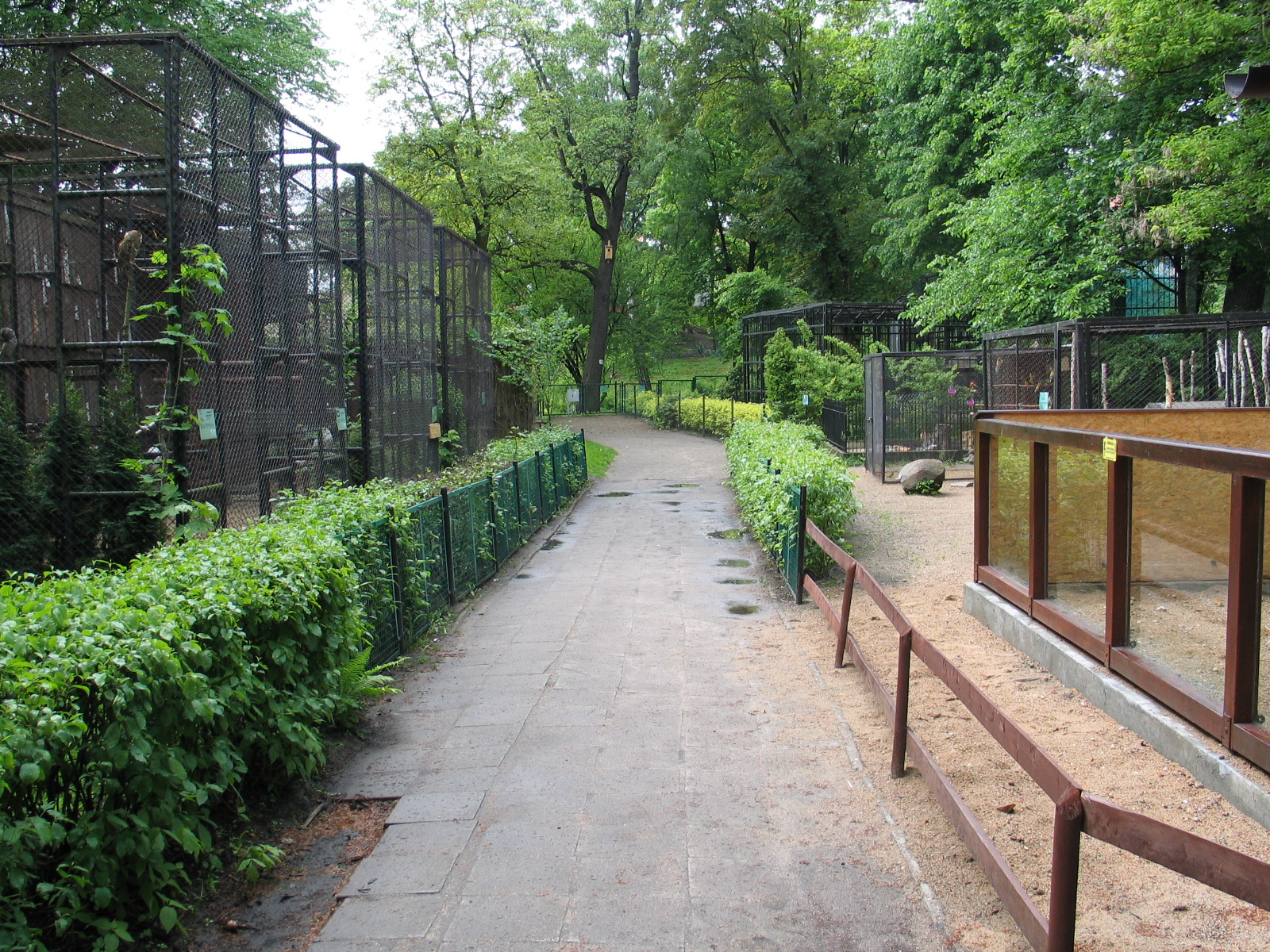 Torun Zoo / May 2005