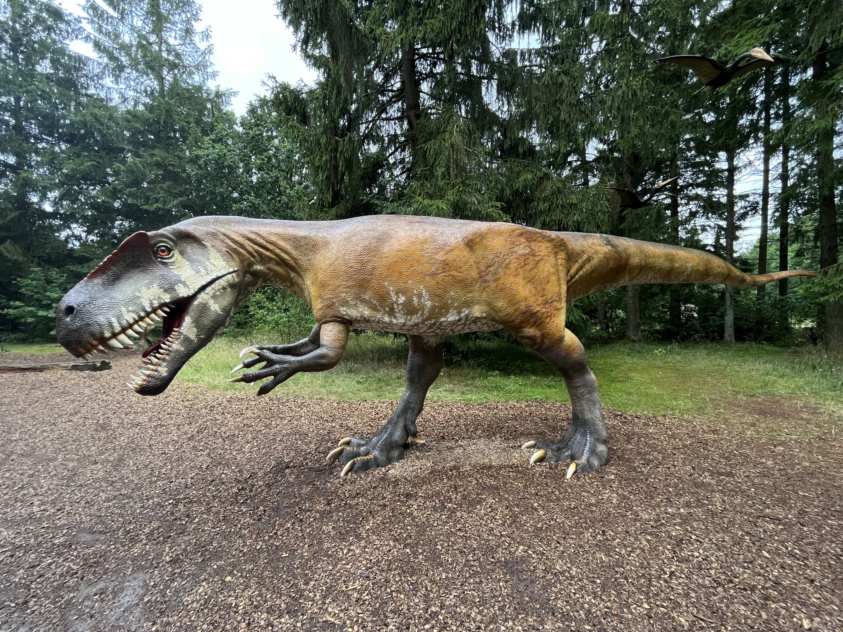 Torvosaurus
