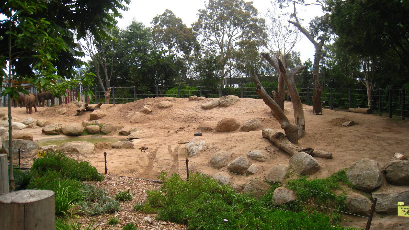 TOTE: Largest paddock