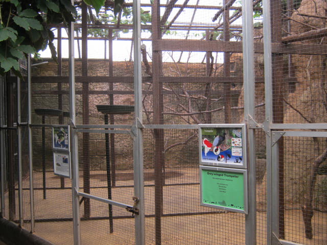 Toucan aviaries 2016