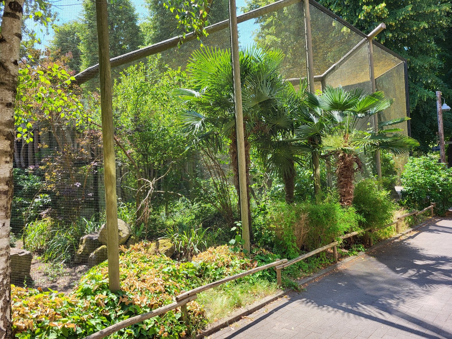 Toucan aviaries