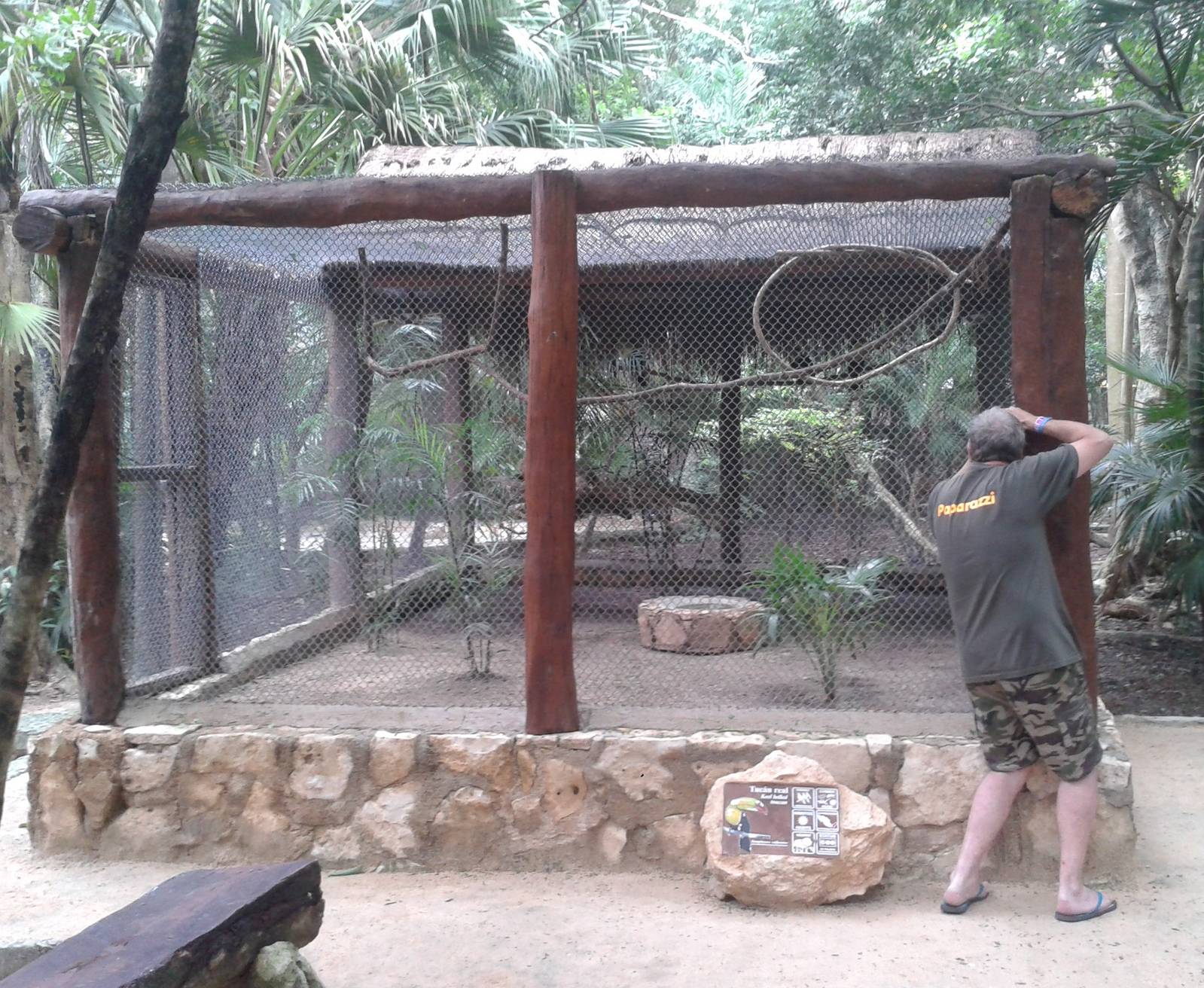 Toucan aviary