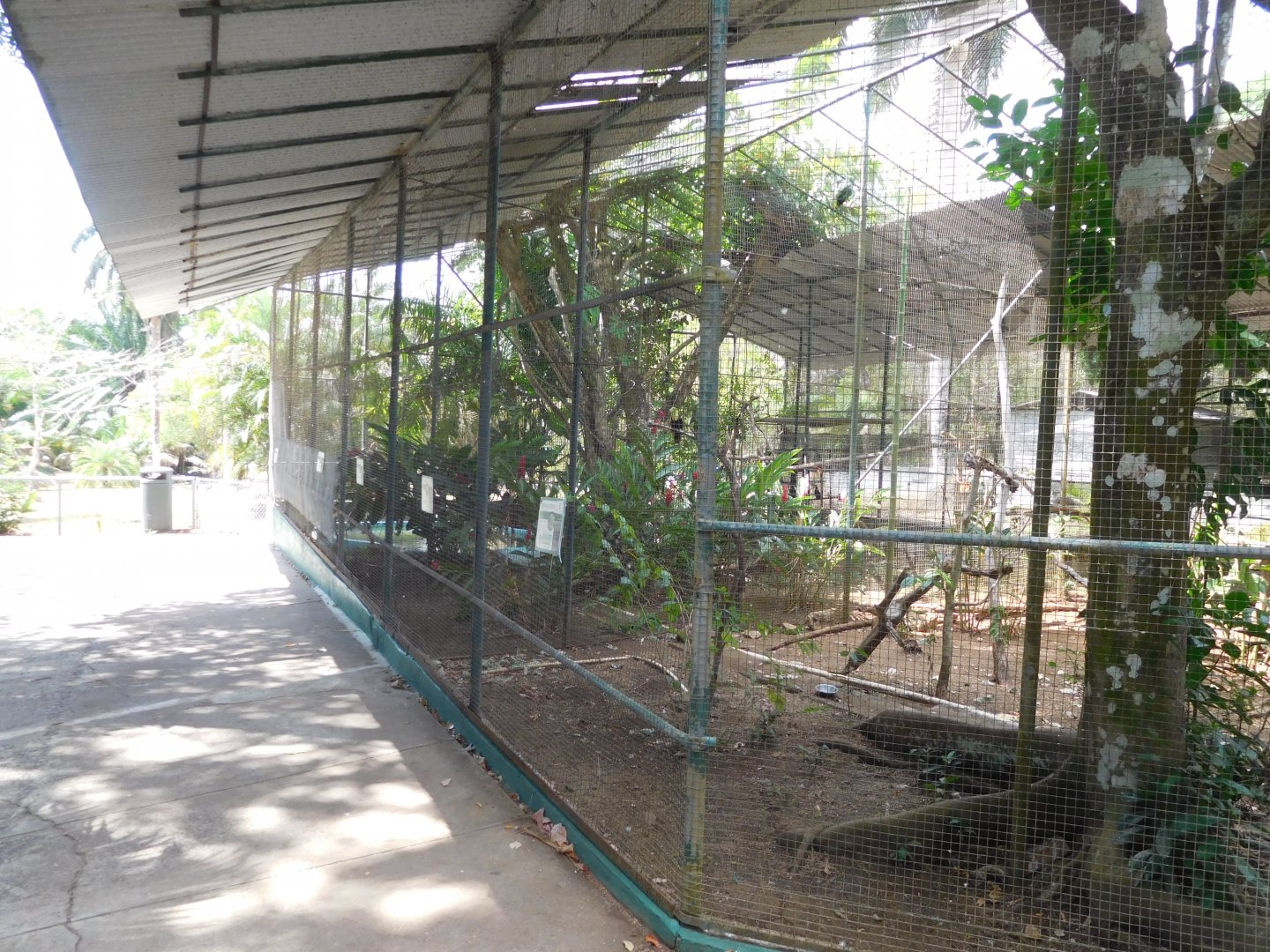 Toucan aviary