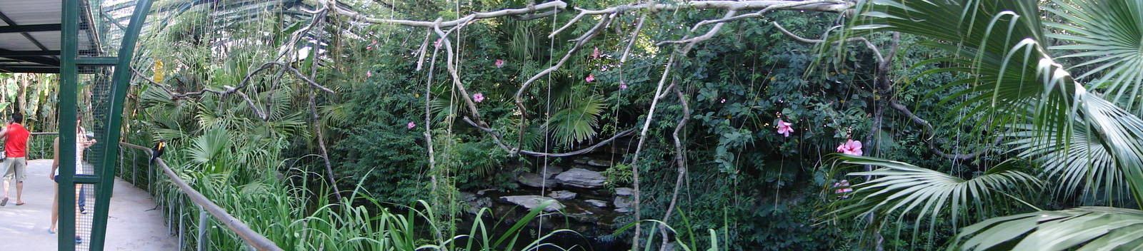 Toucan enclosure
