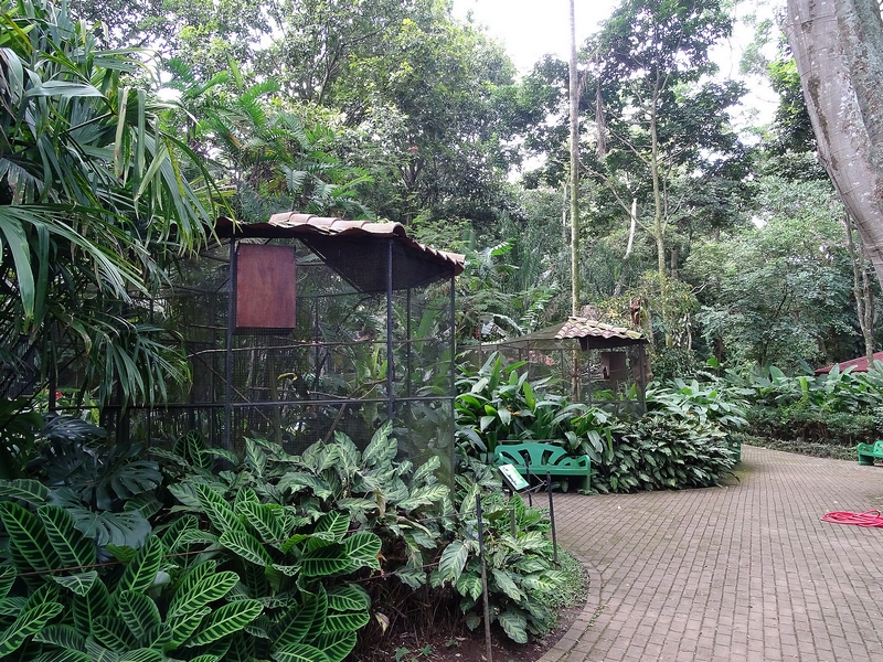 Toucan enclosures