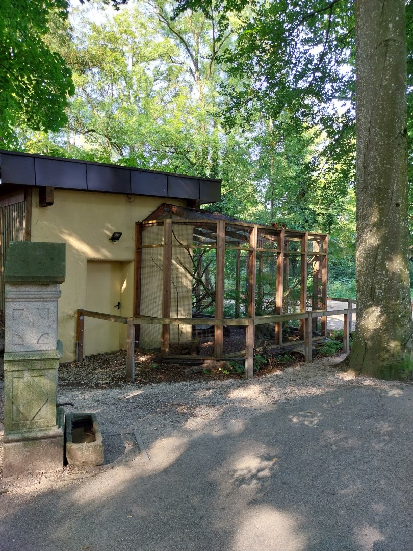 Toucan house & aviary