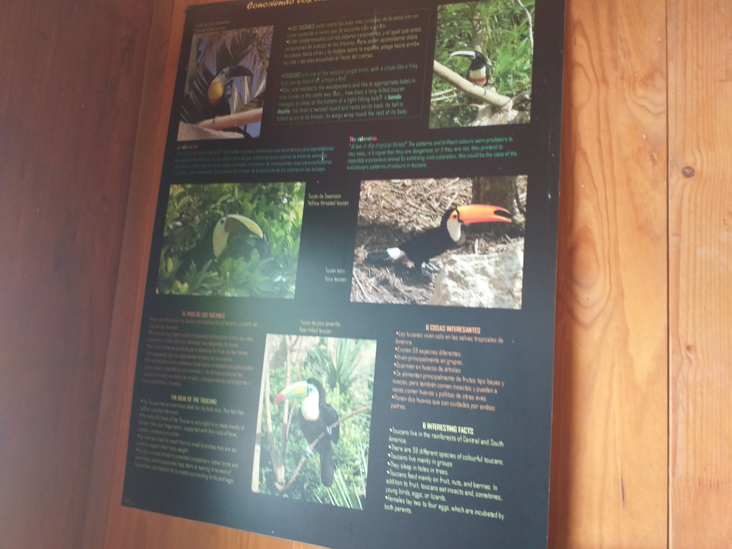 Toucan nesting sign -TerraNatura Benidorm (2021)