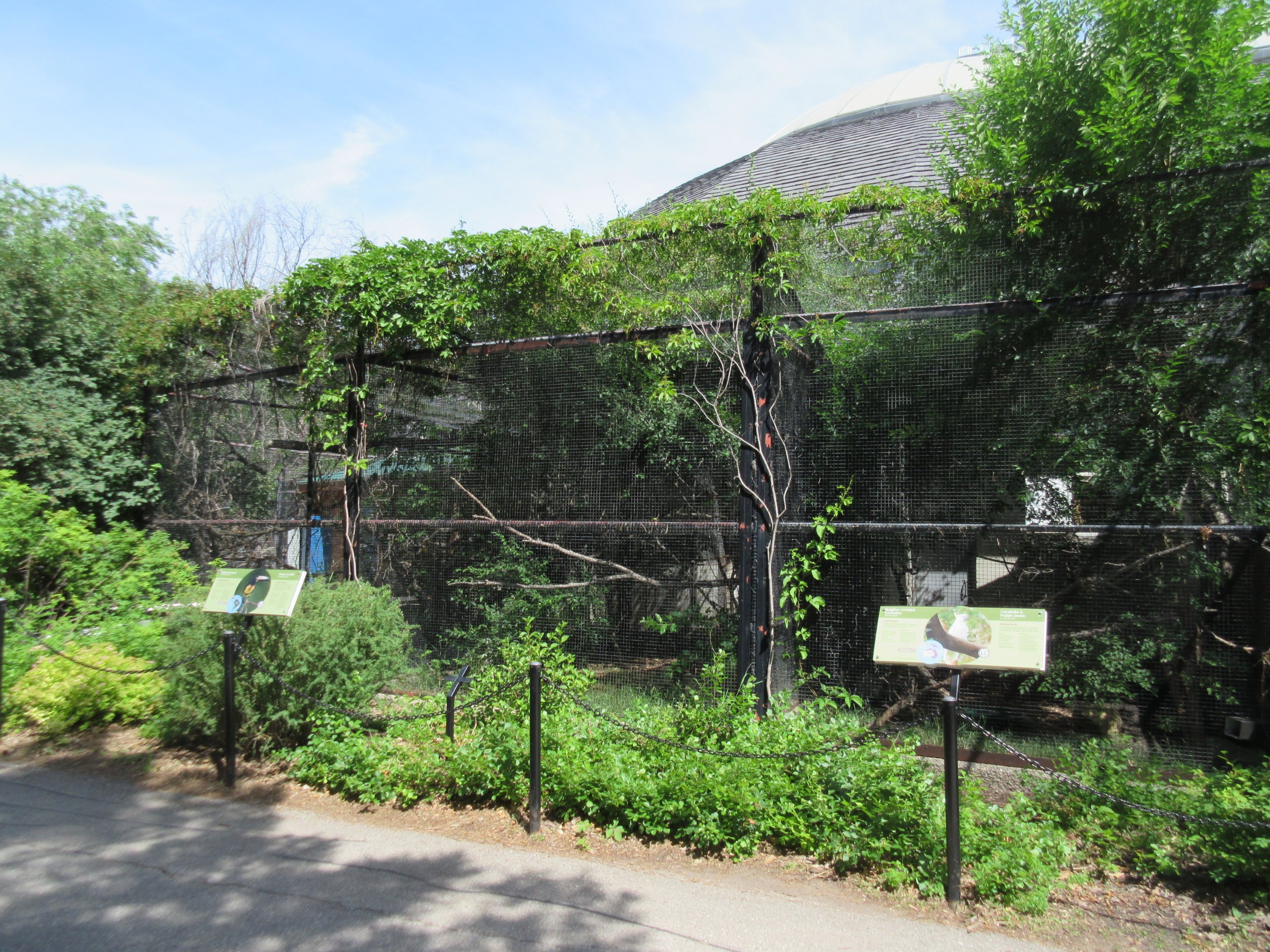 Toucan Ridge - 3 Bird Species Outdoor Exhibit