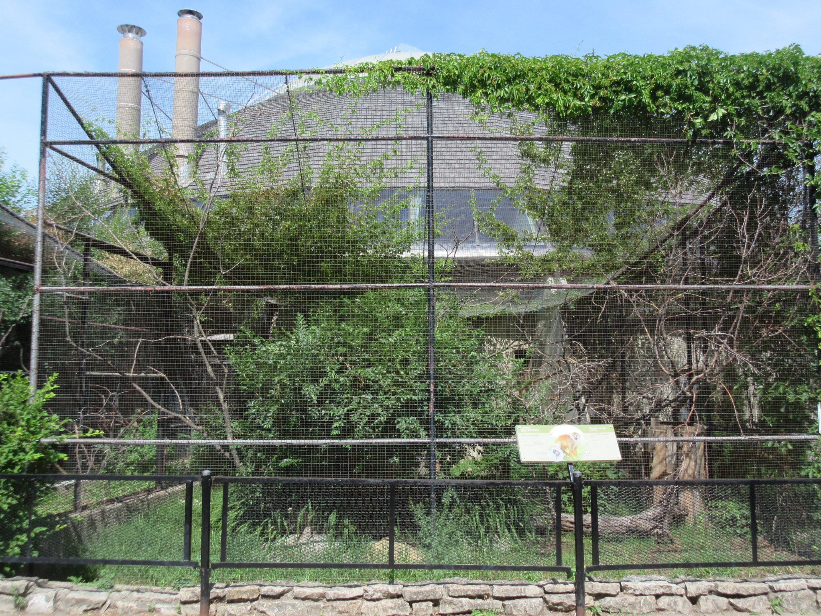 Toucan Ridge - Common Squirrel Monkey Outdoor Exhibit