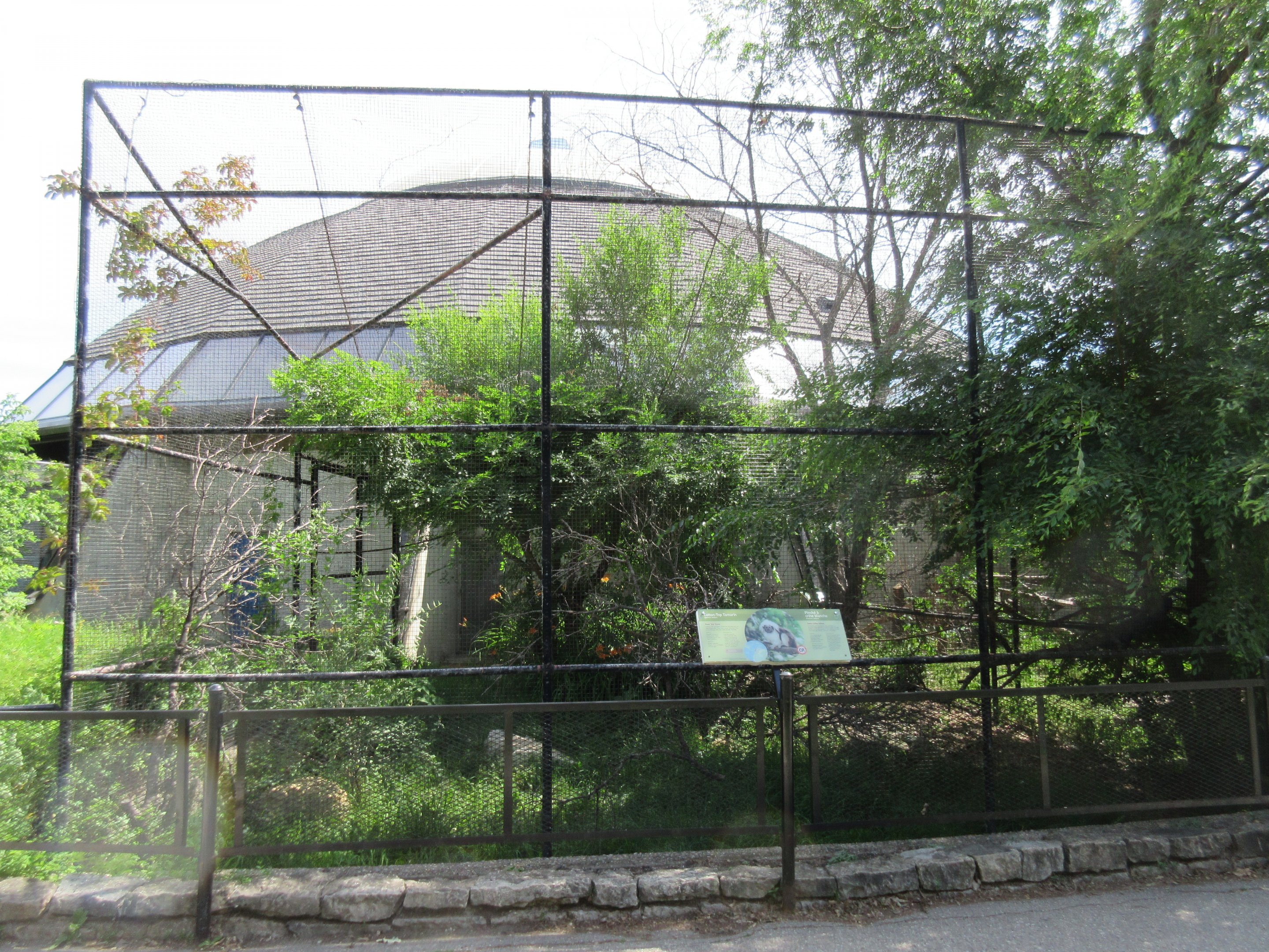 Toucan Ridge - Cotton-top Tamarin Outdoor Exhibit