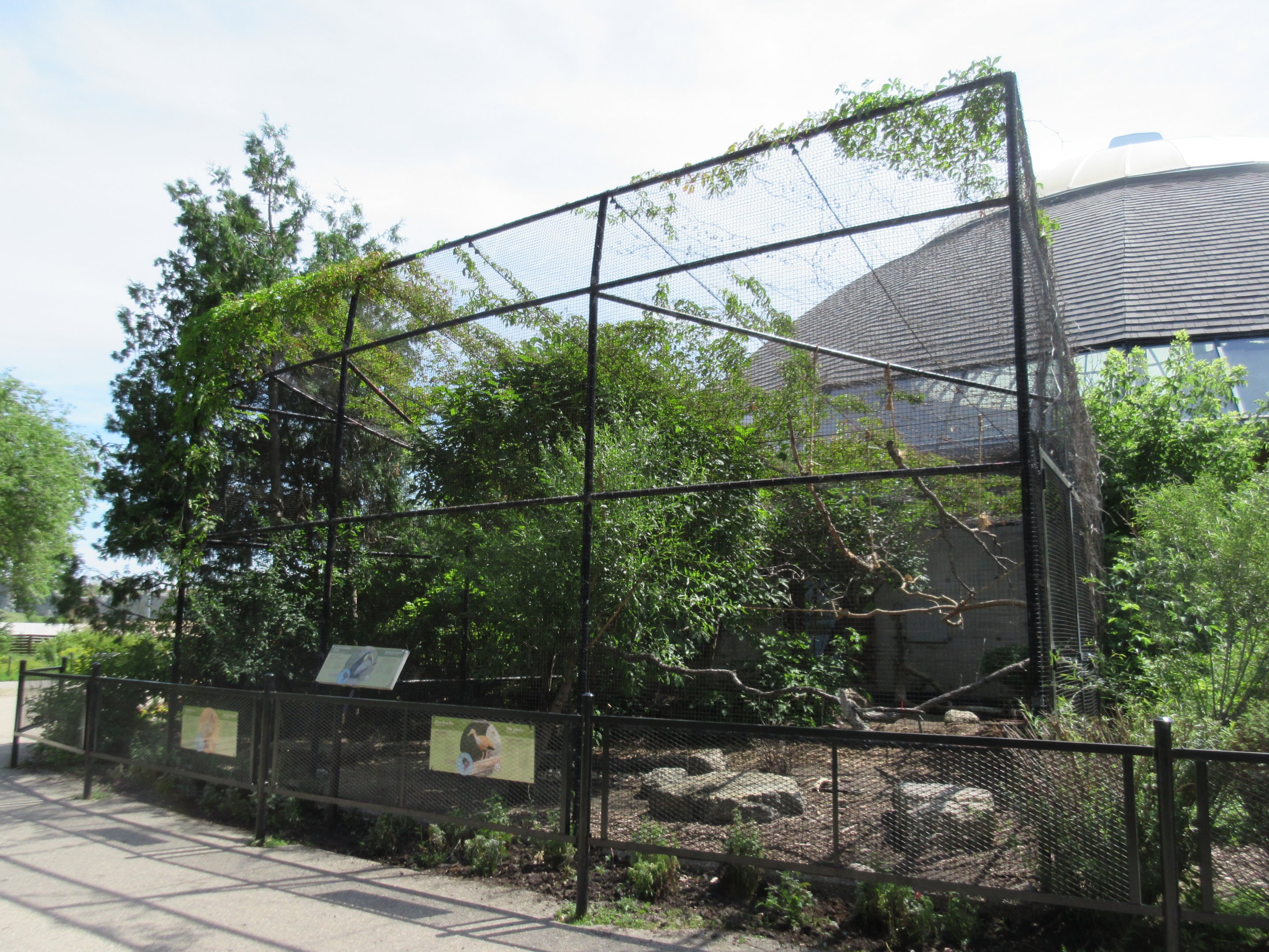 Toucan Ridge - Giant Wood Rail/Chestnut-mandibled Toucan/Mara Outdoor Exhibit