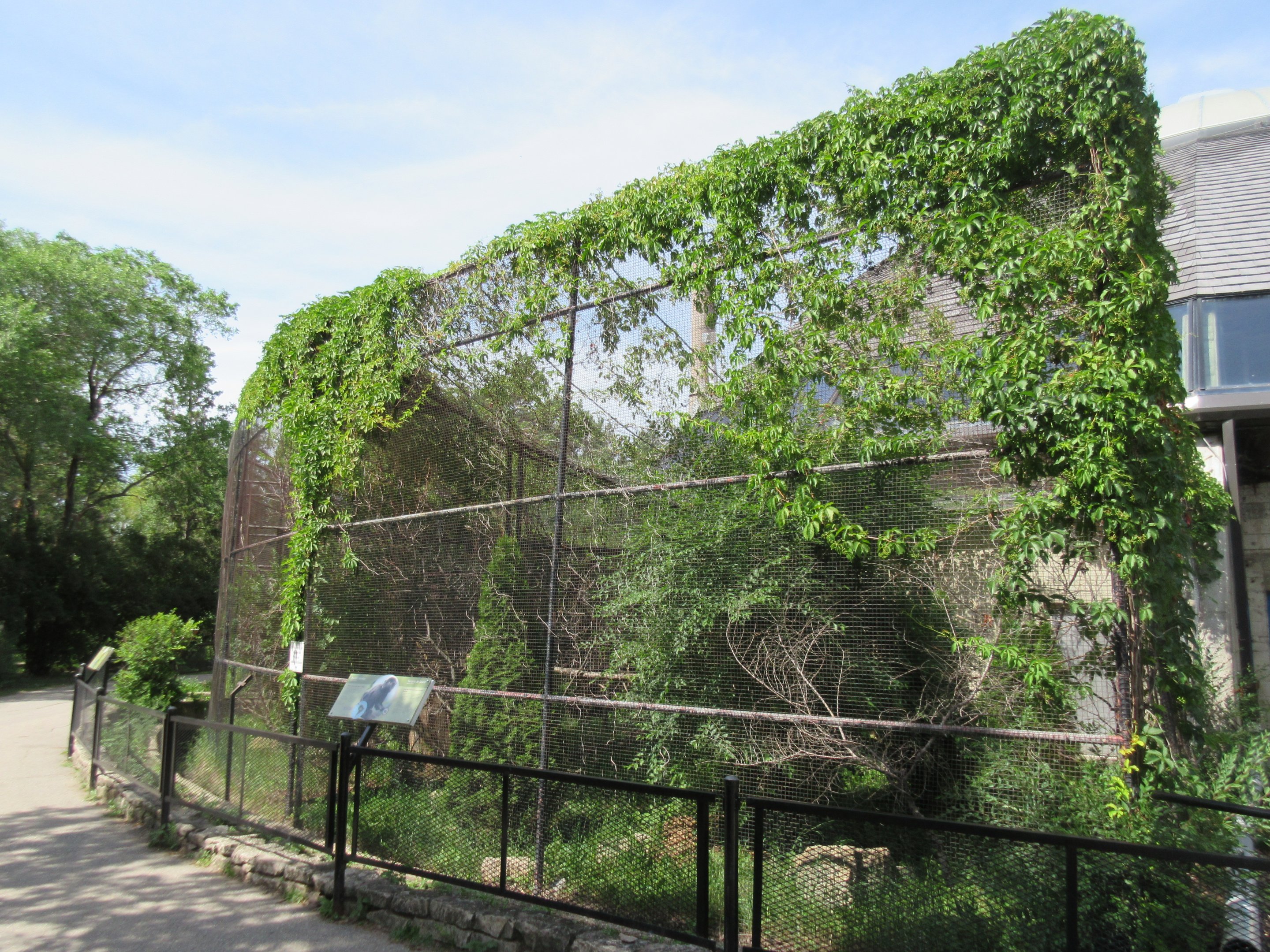 Toucan Ridge - Goeldi's Monkey Outdoor Exhibit