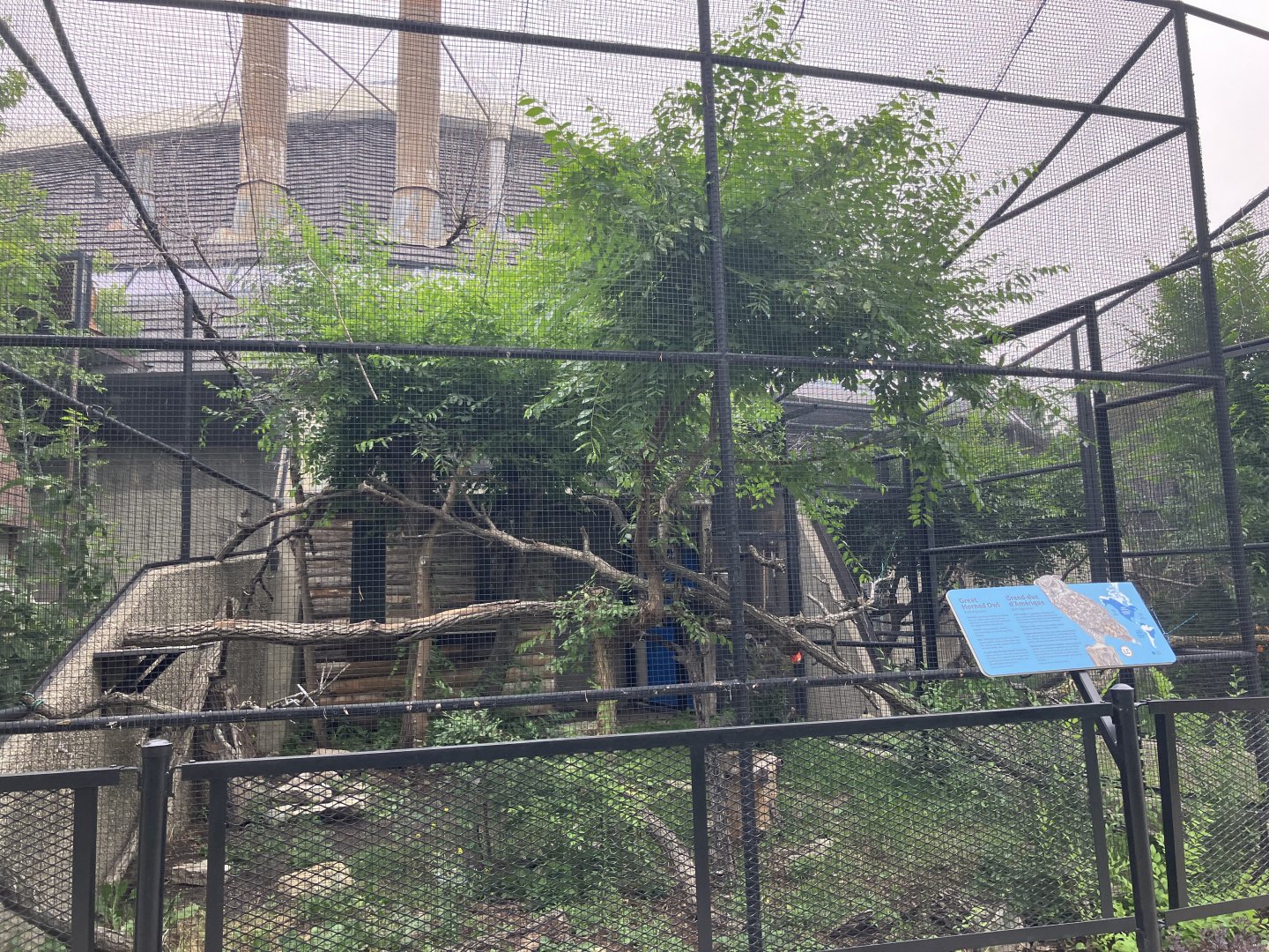 Toucan Ridge - Great-Horned Owl Exhibit