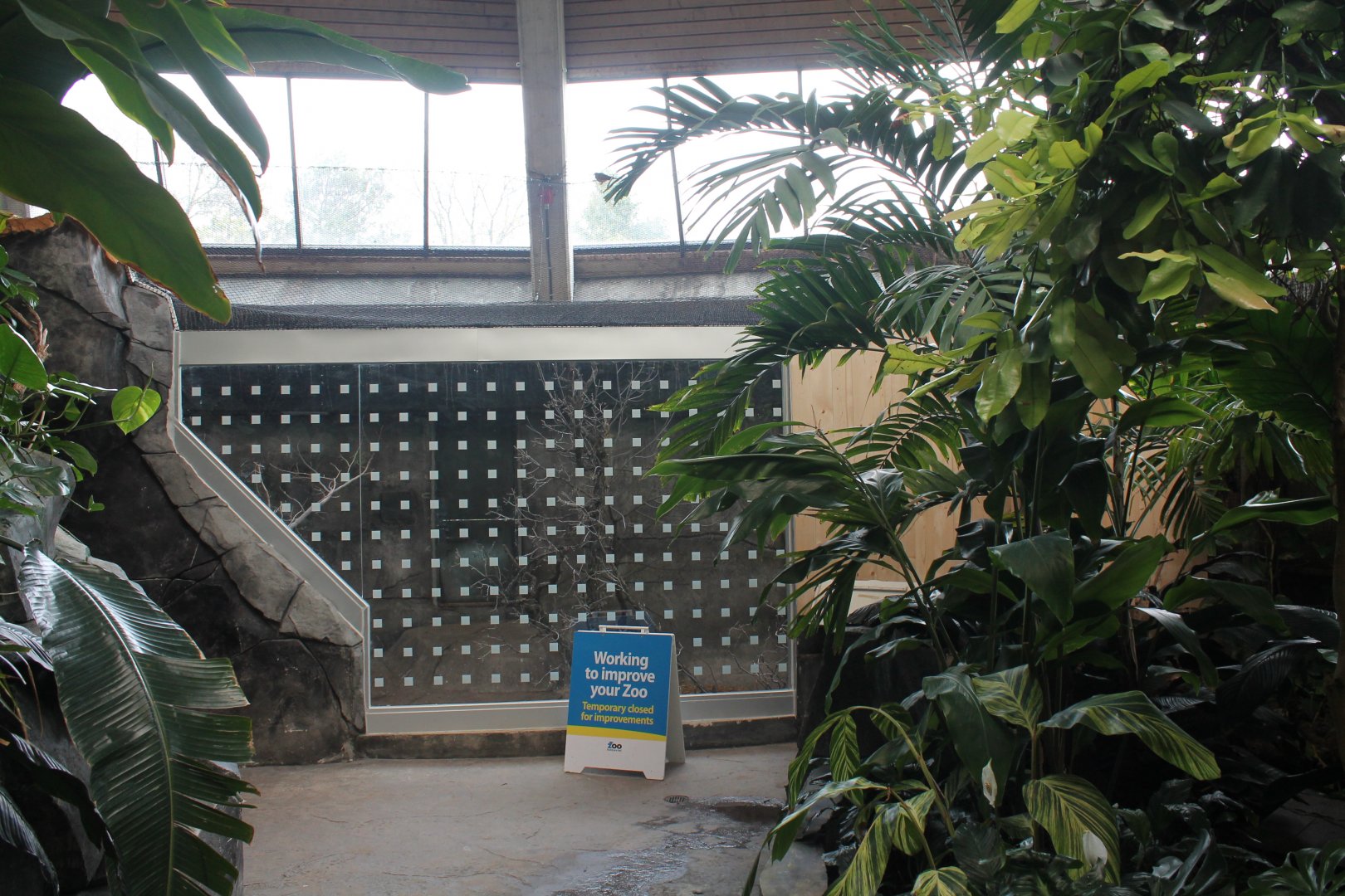 Toucan Ridge habitat under construction