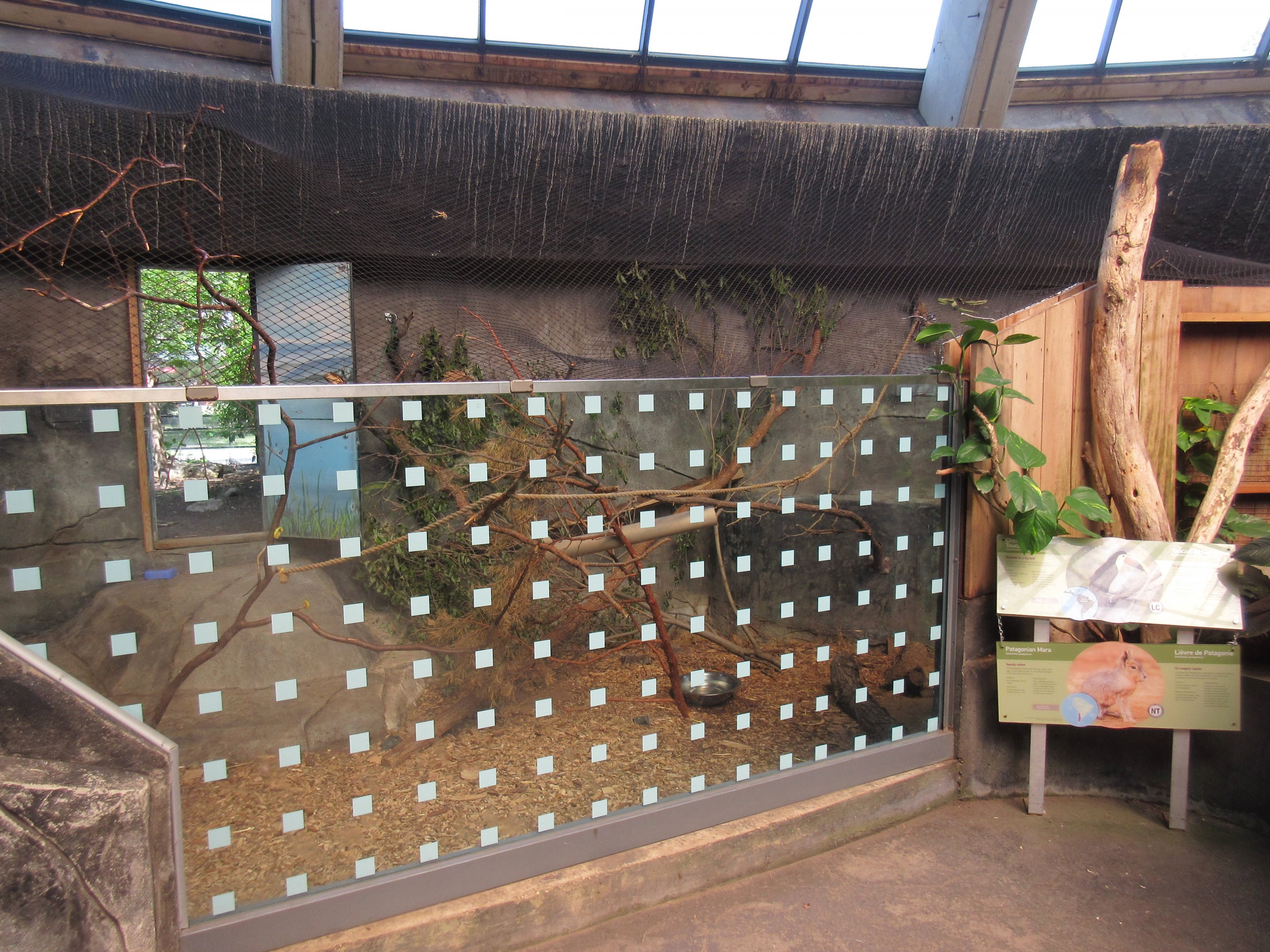 Toucan Ridge - Mara/Giant Wood Rail/Chestnut-mandibled Toucan Indoor Exhibit