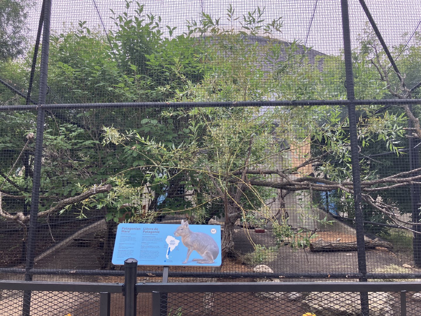 Toucan Ridge - Outdoor Patagonian Mara/Guianan Squirrel Monkey/Blue-Billed Curassow Exhibit