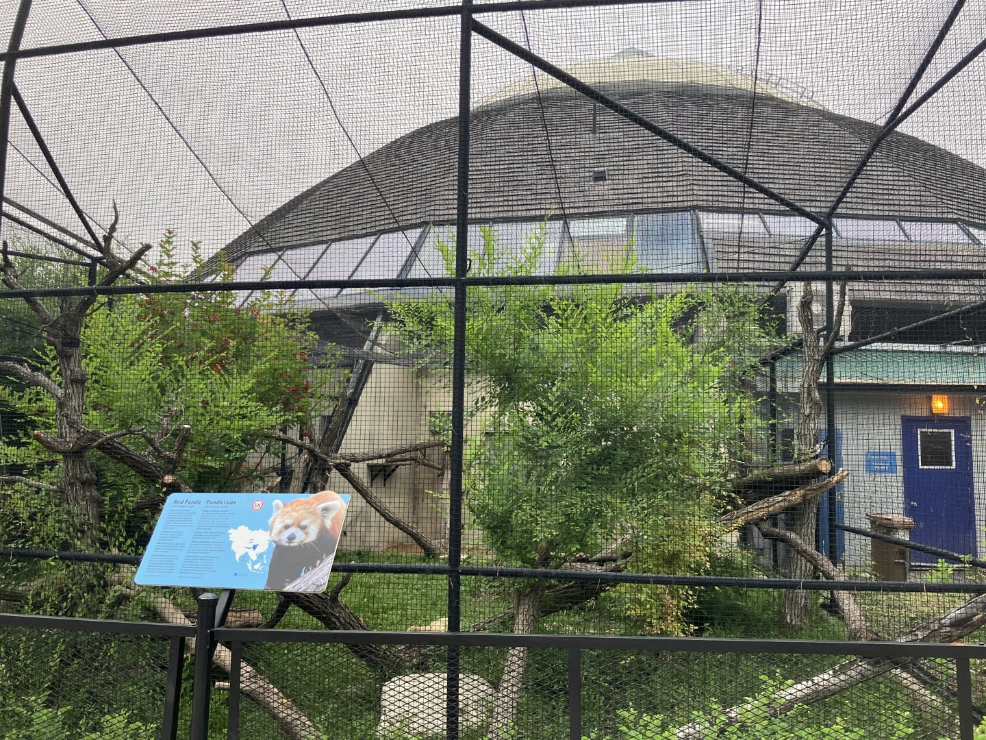 Toucan Ridge - Outdoor Red Panda Exhibit