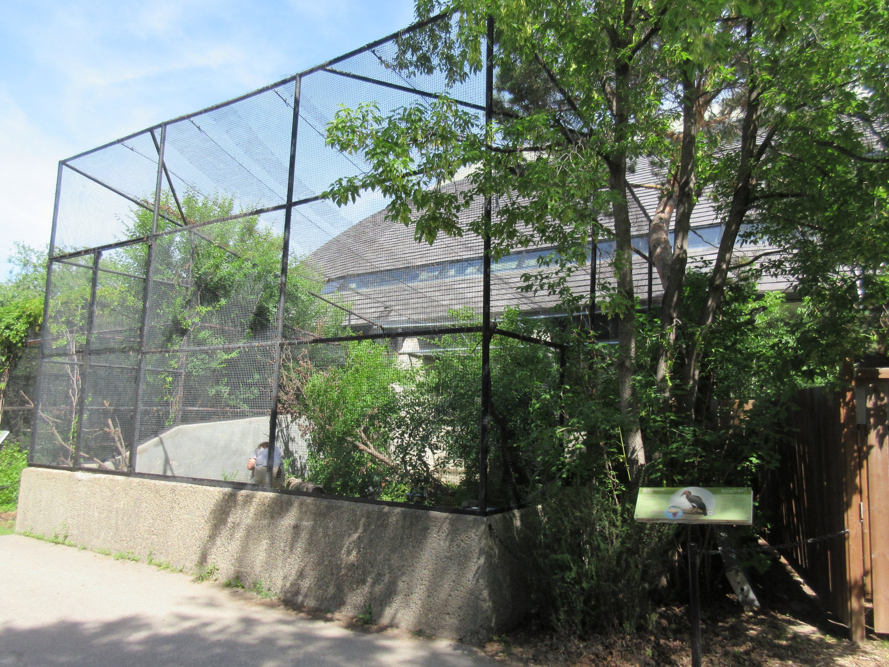 Toucan Ridge - Southern Ground Hornbill Exhibit