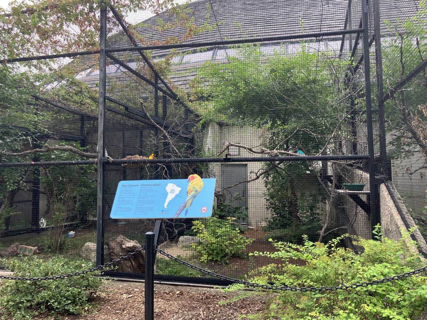 Toucan Ridge - Sun Conure Exhibit