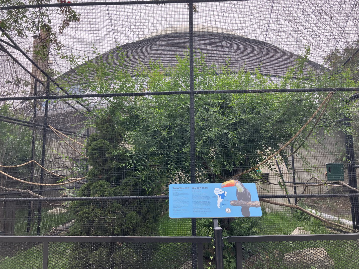 Toucan Ridge - Toco Toucan Exhibit