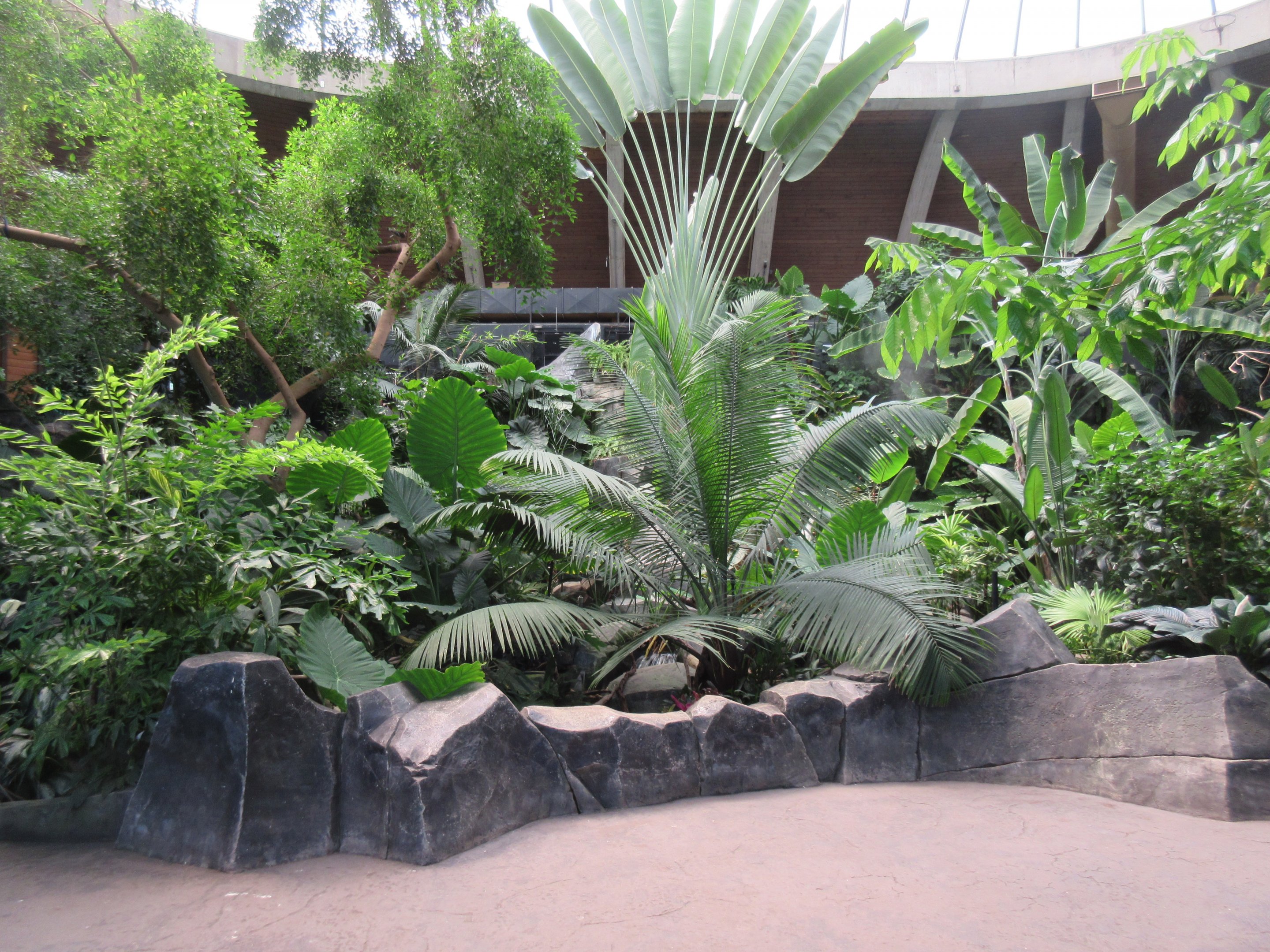 Toucan Ridge - Tropical House