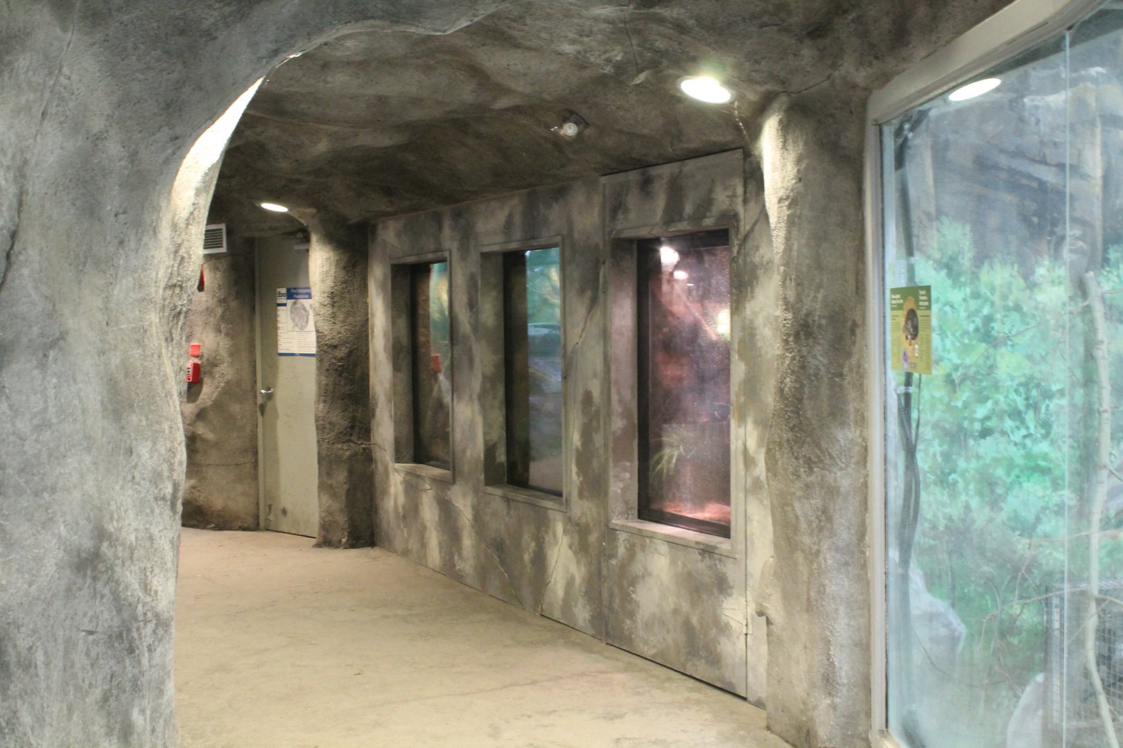 Toucan Ridge wall exhibit