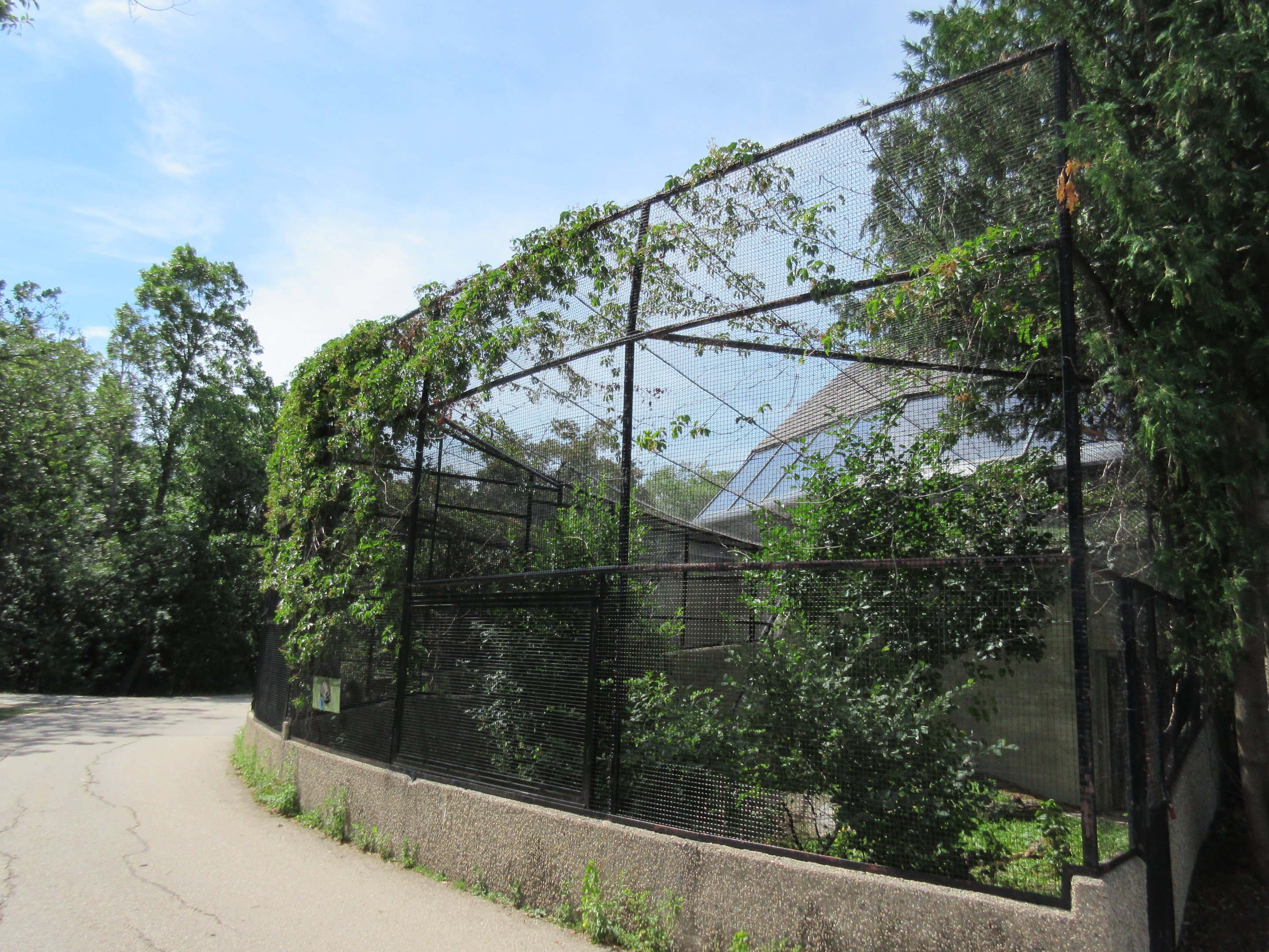 Toucan Ridge - Yellow-footed Tortoise Outdoor Exhibit