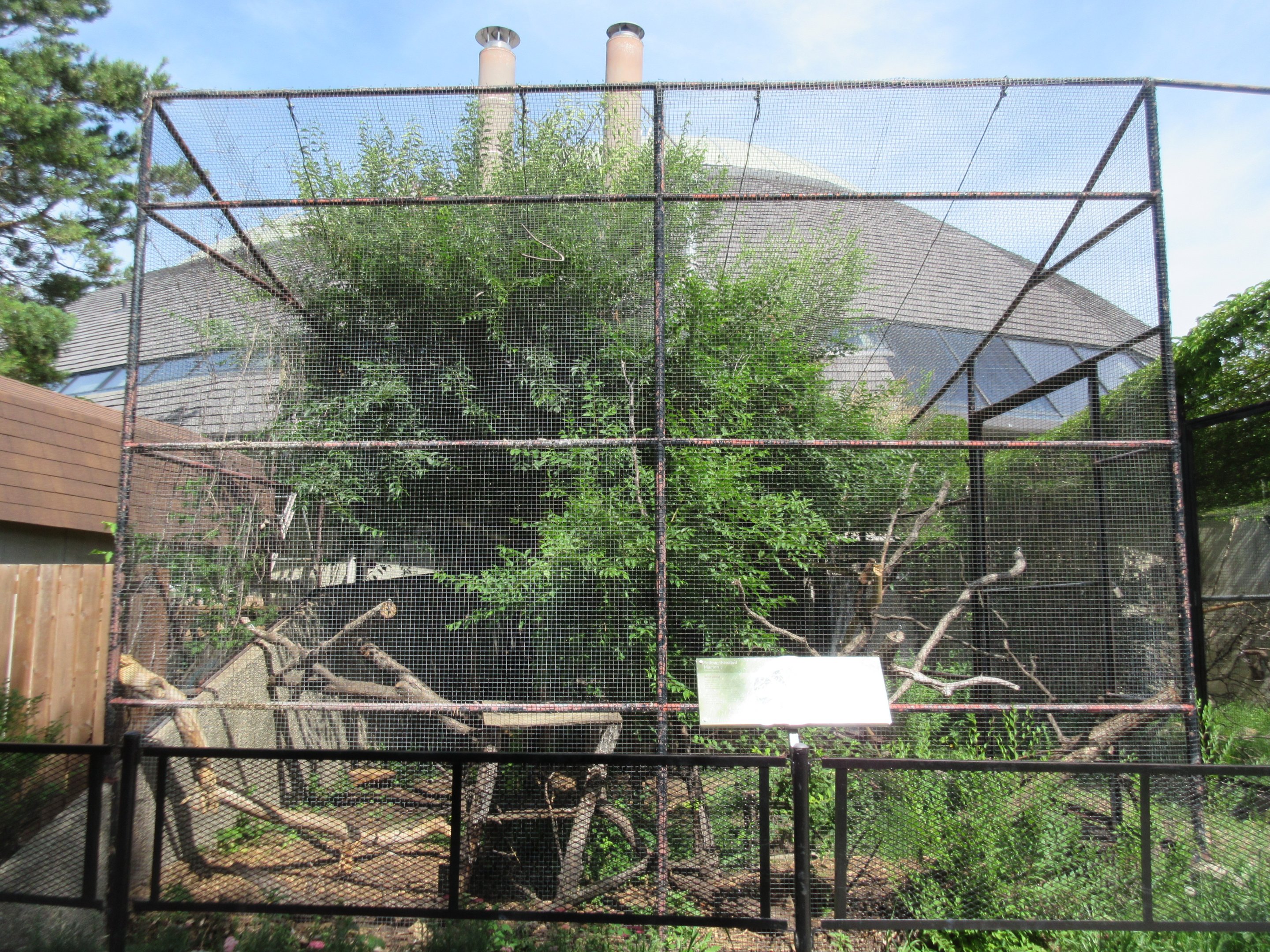 Toucan Ridge - Yellow-throated Marten Exhibit